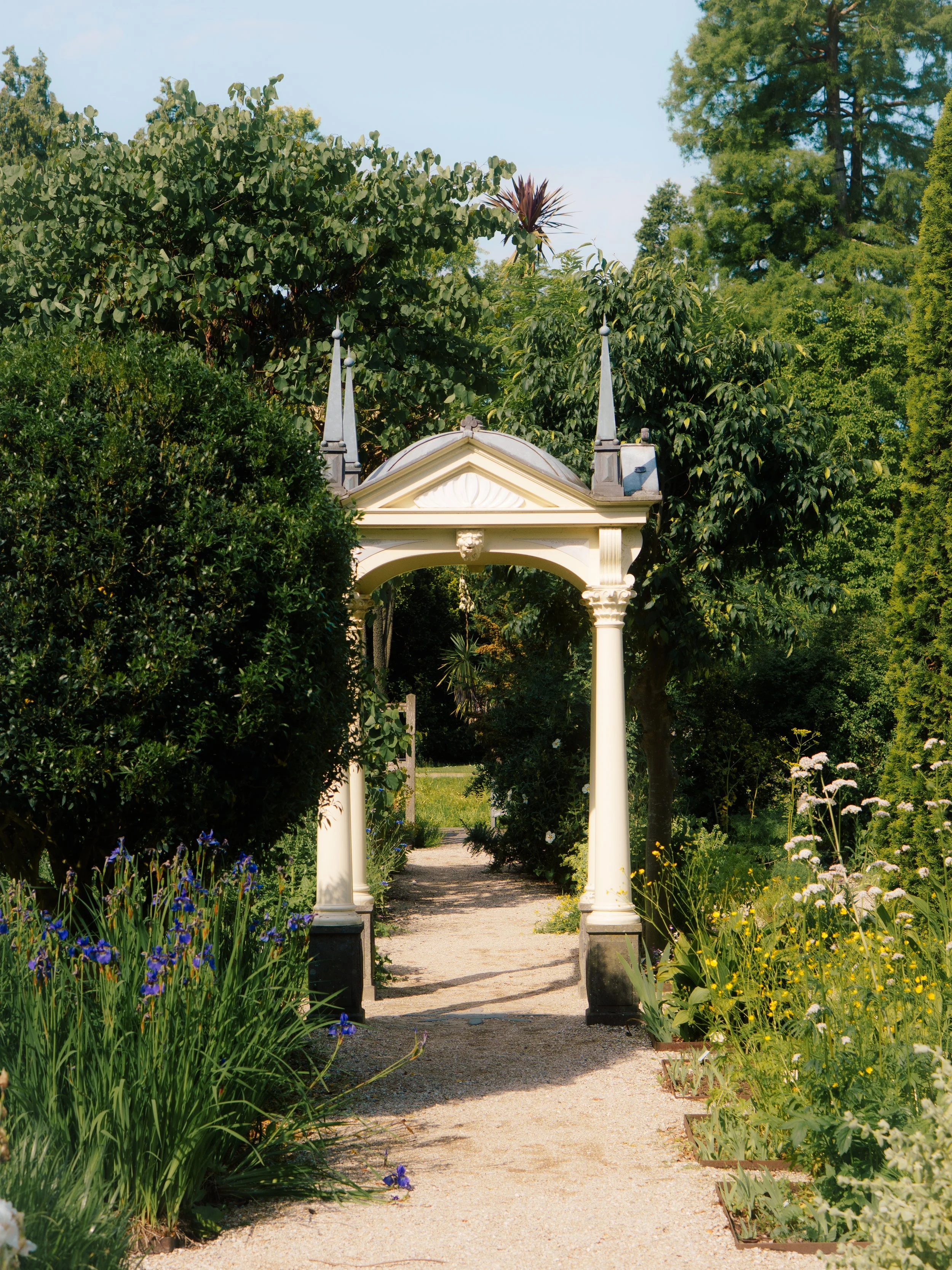 DSC08451.jpg