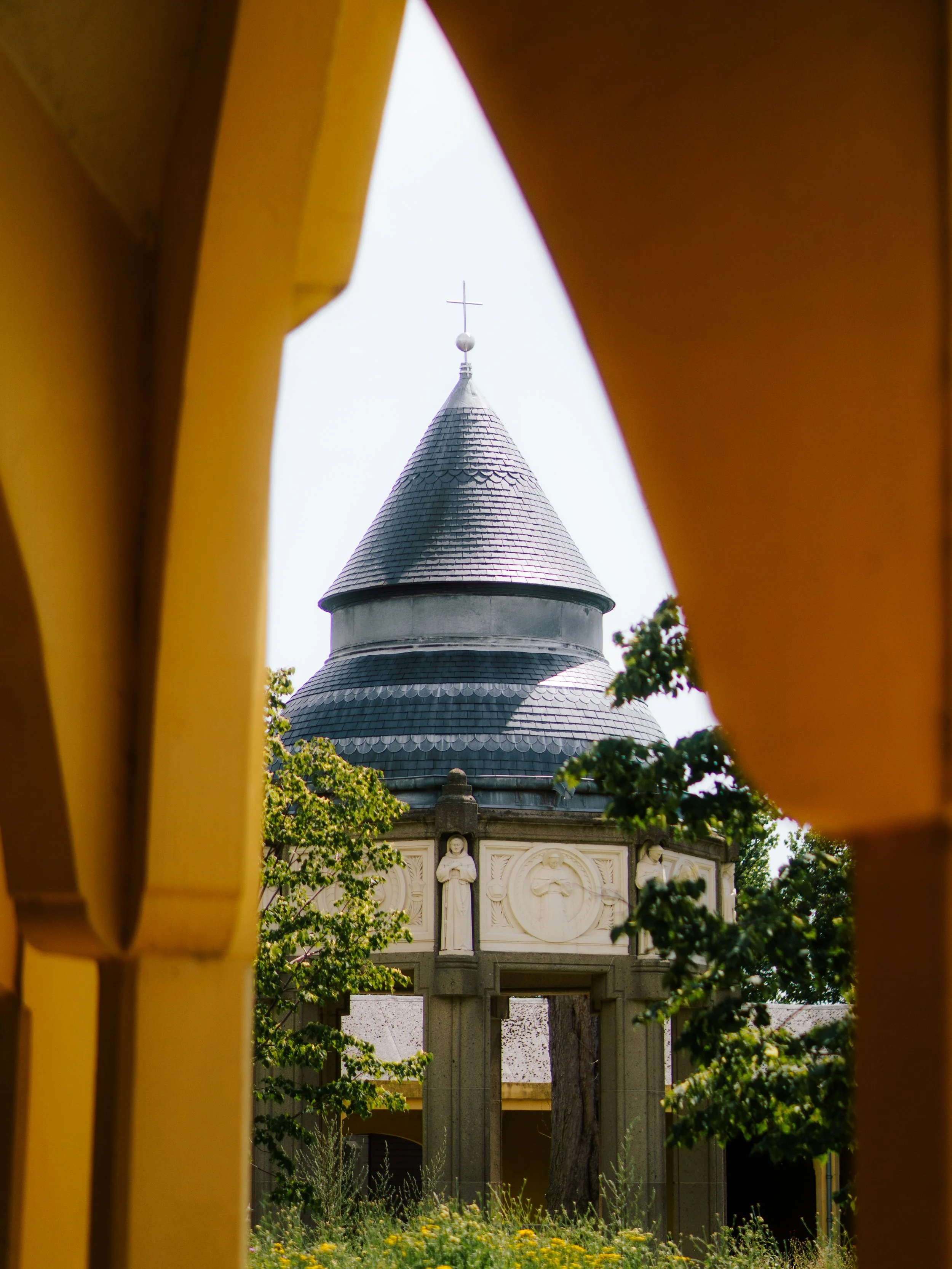 DSC08856.jpg