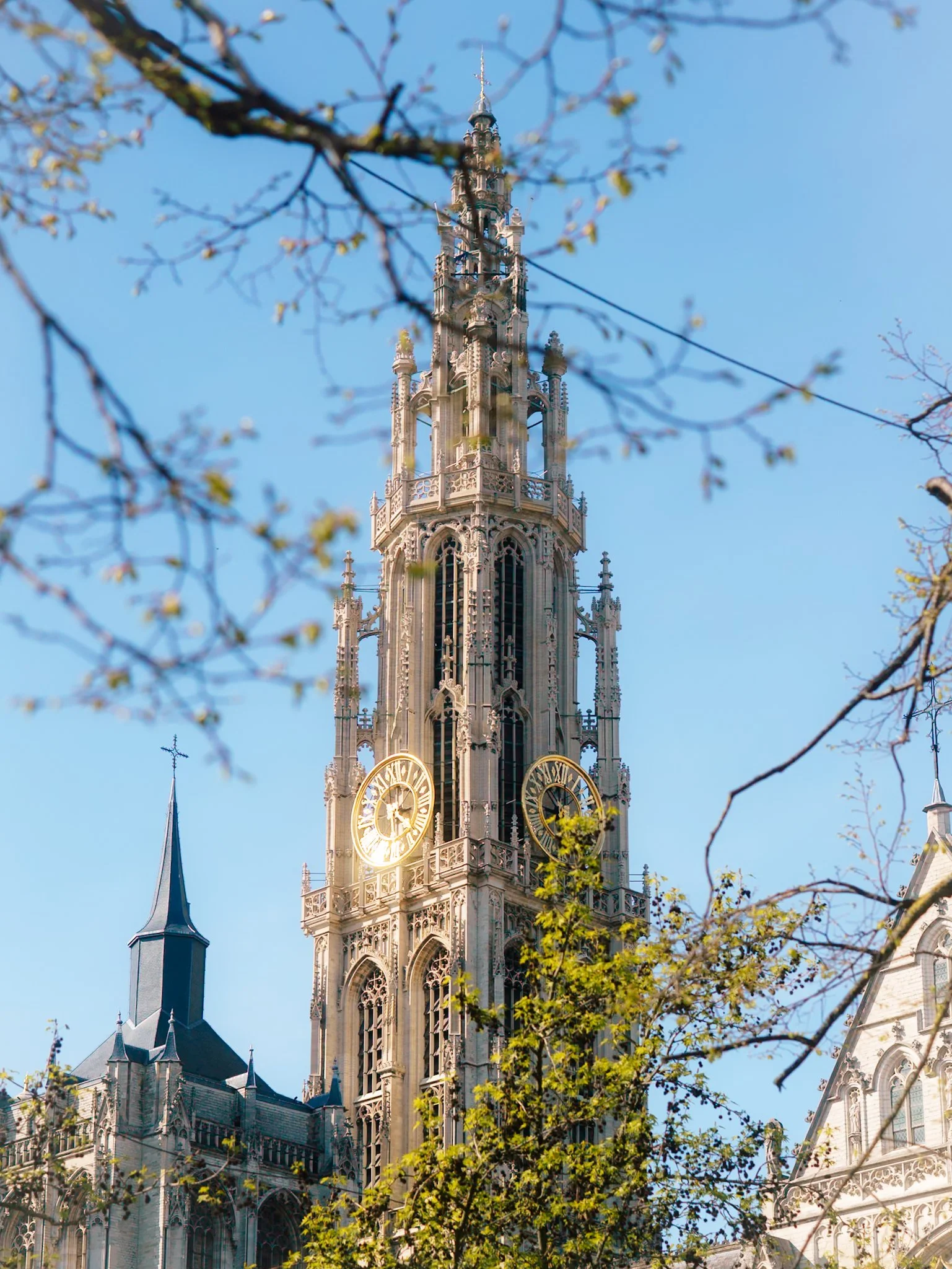 Een gotische kerktoren met een klok, omgeven door boomtakken en bladgroen, onder een heldere blauwe hemel.