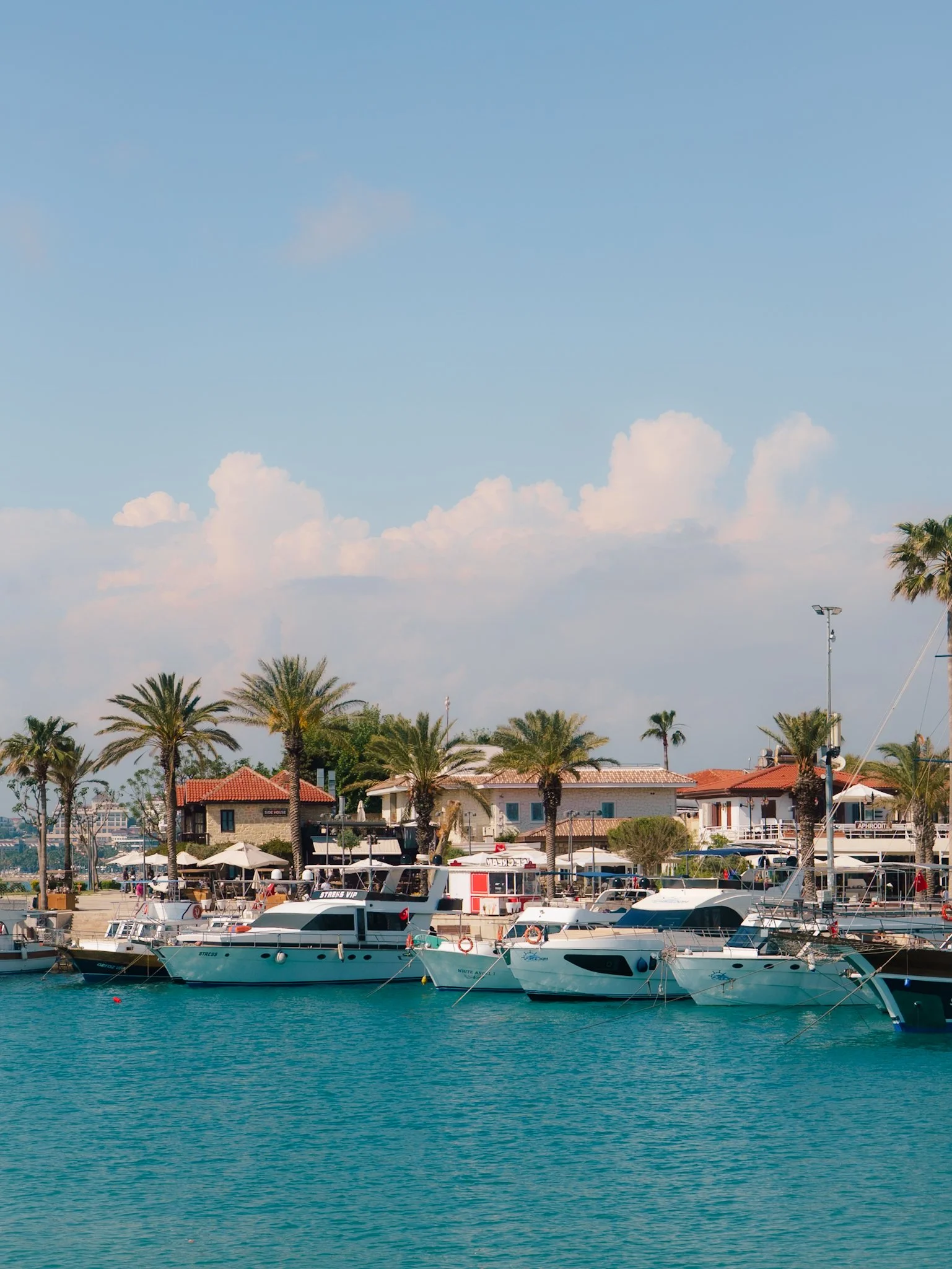 Marina met boten en palmbomen, gebouwen met terrassen, blauwe hemel met wolken.