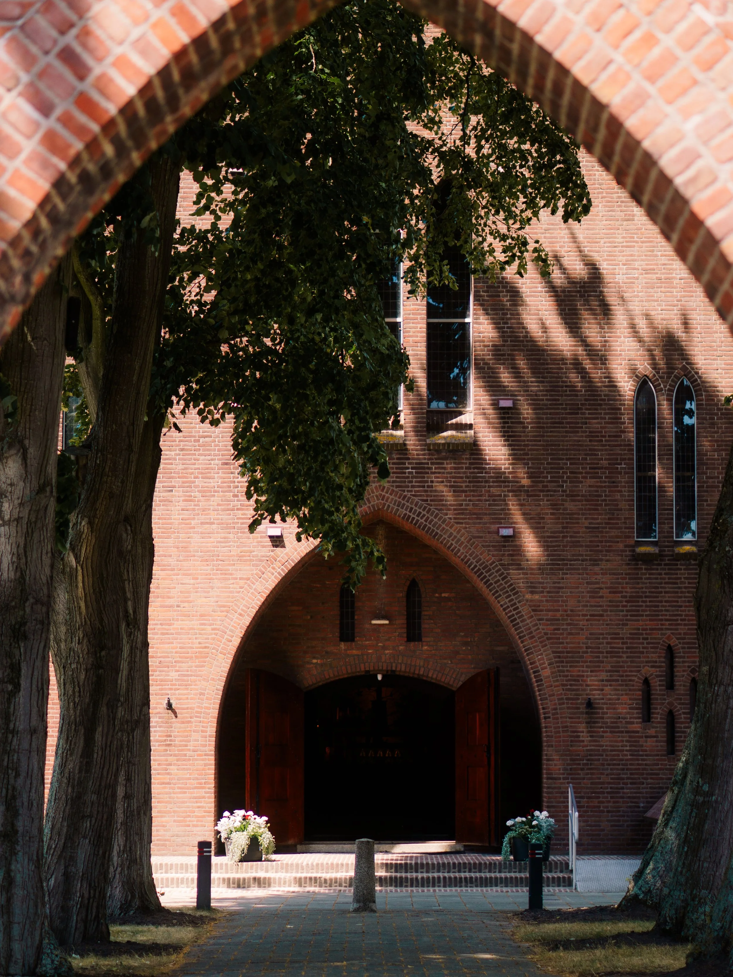 DSC08834.jpg