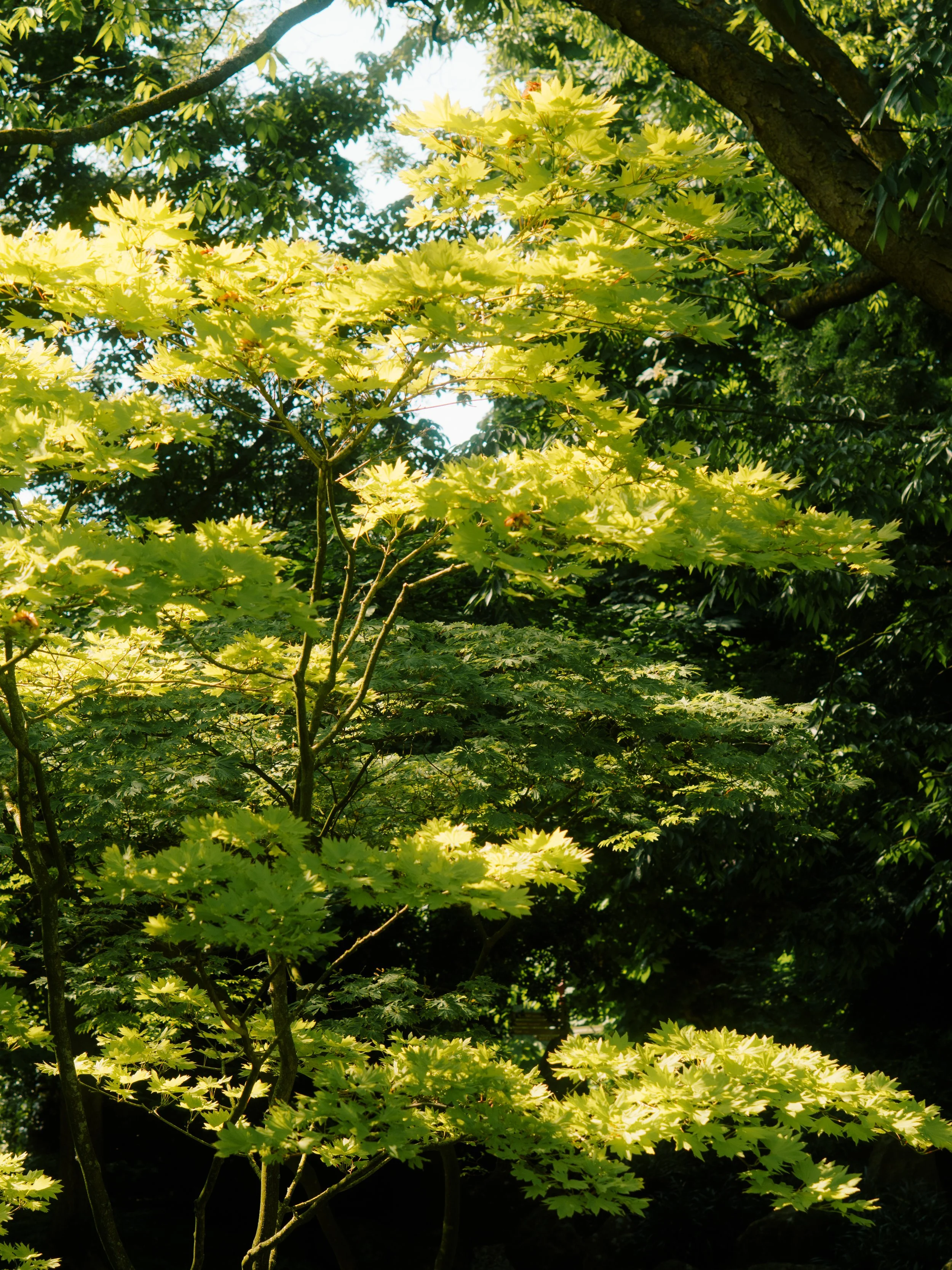 DSC08506.jpg