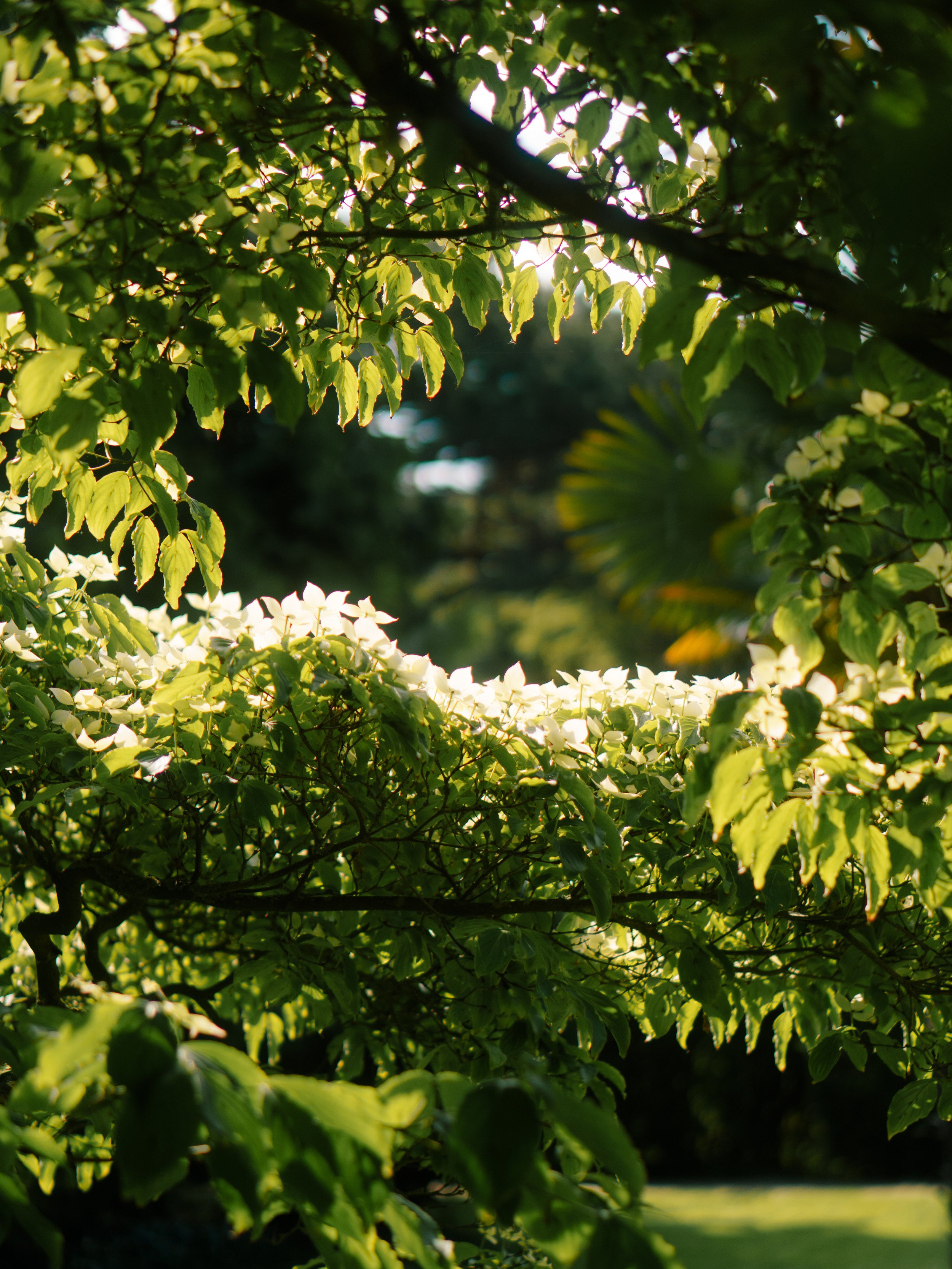 DSC08460.jpg