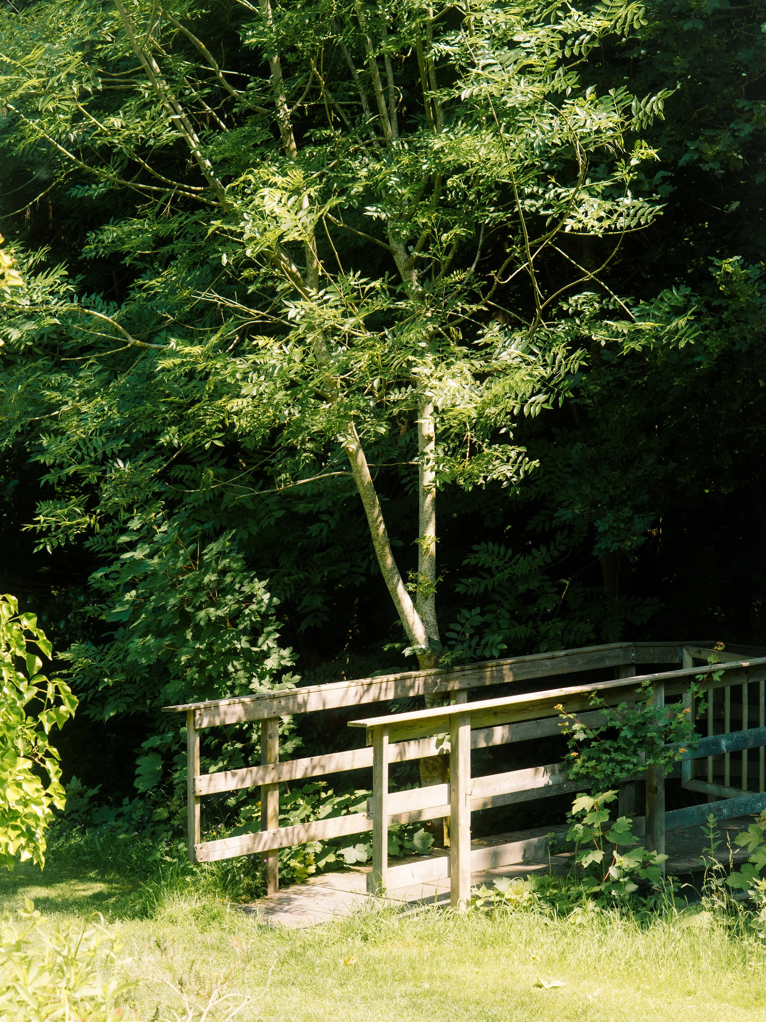 DSC08438.jpg