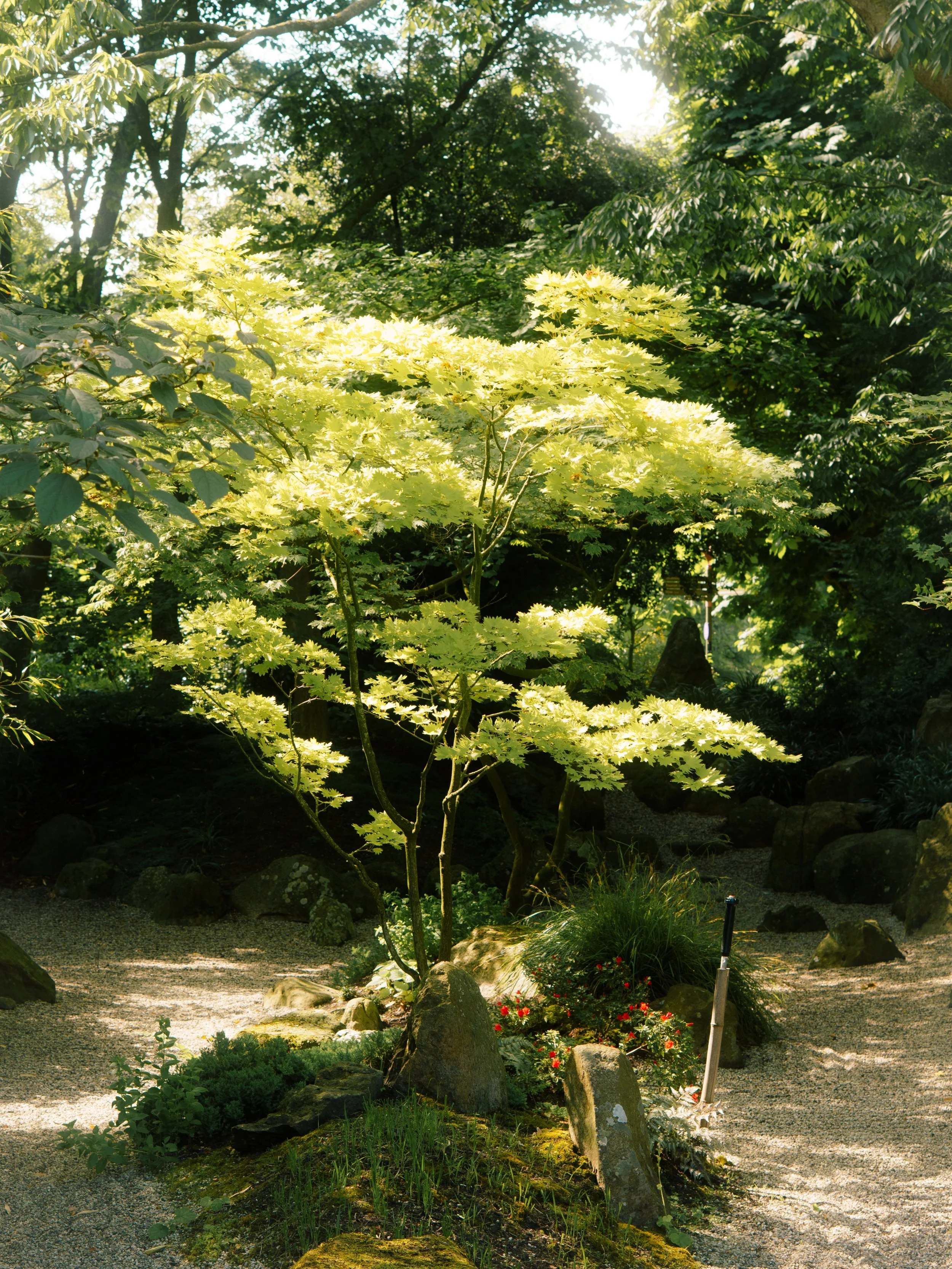 DSC08504.jpg