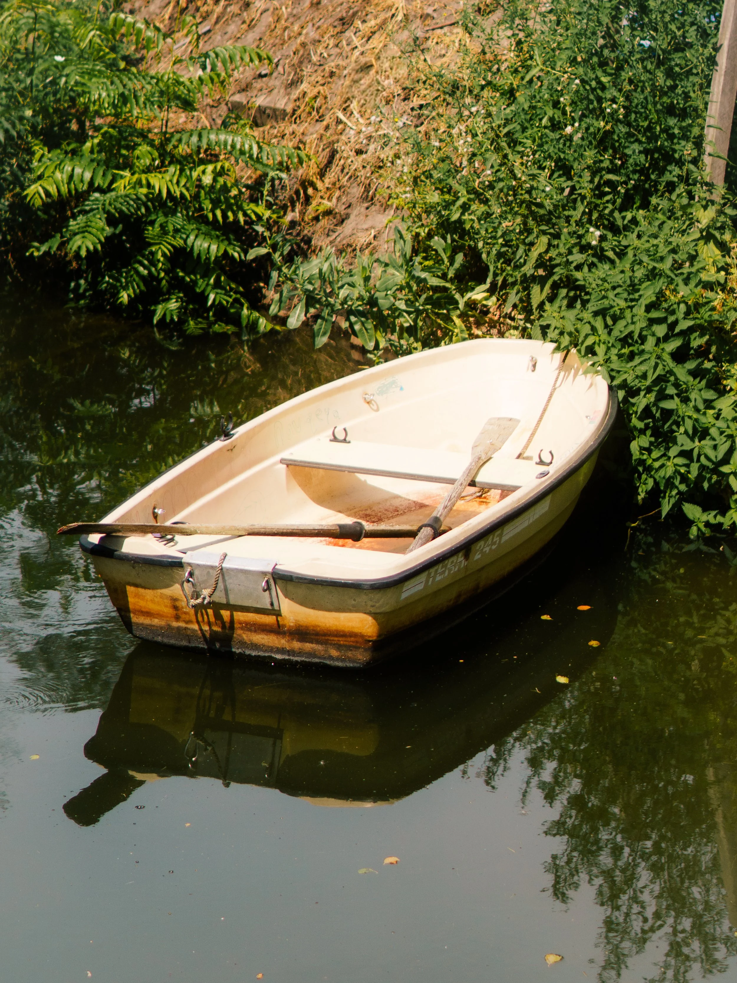 A small white boat floating on dark water, surrounded by lush green foliage with some leaves floating on the surface.