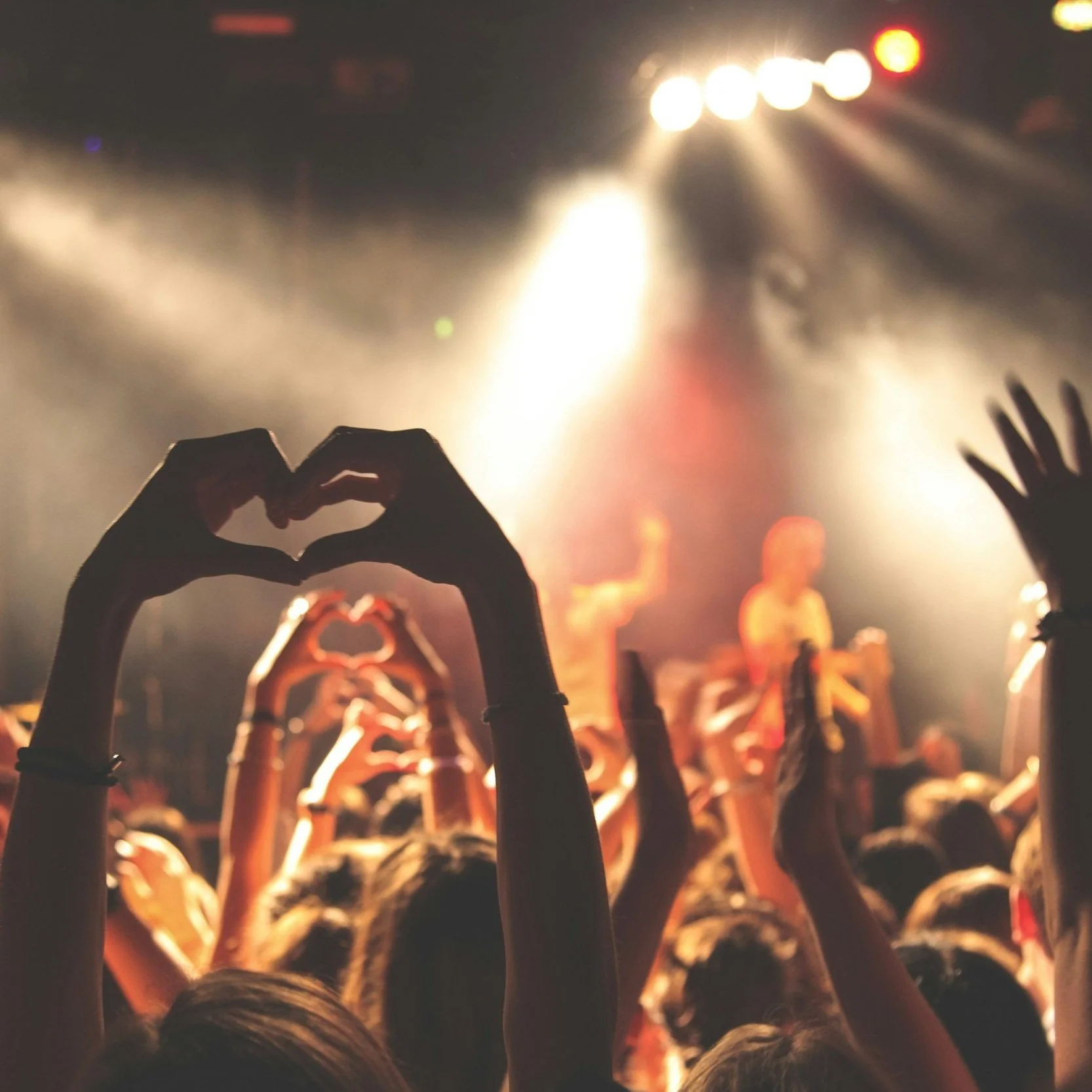 Live Shows
