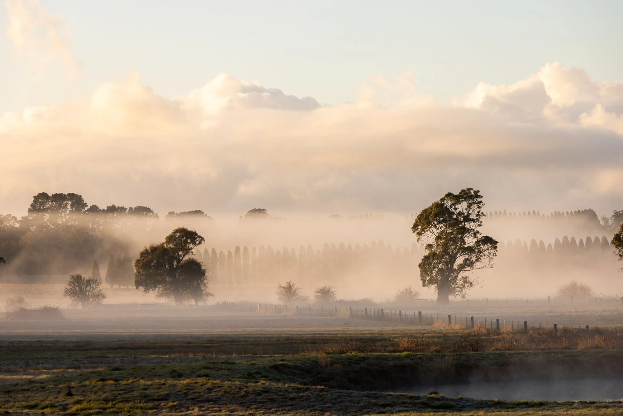 A foggy sunrise over open fields with scattered trees and fence posts.