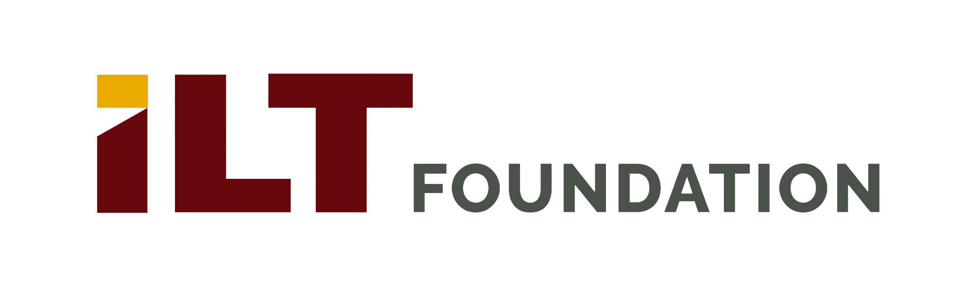 LiHE Foundation logo with stylized text and colorful square design.