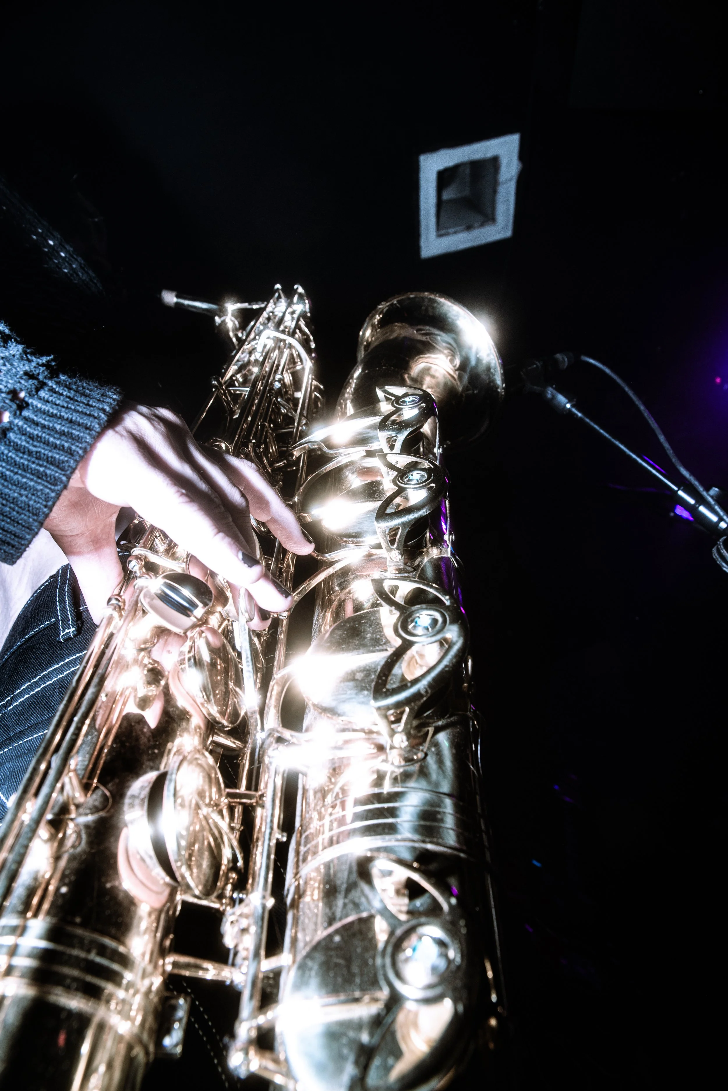 DSC_3661.JPEG