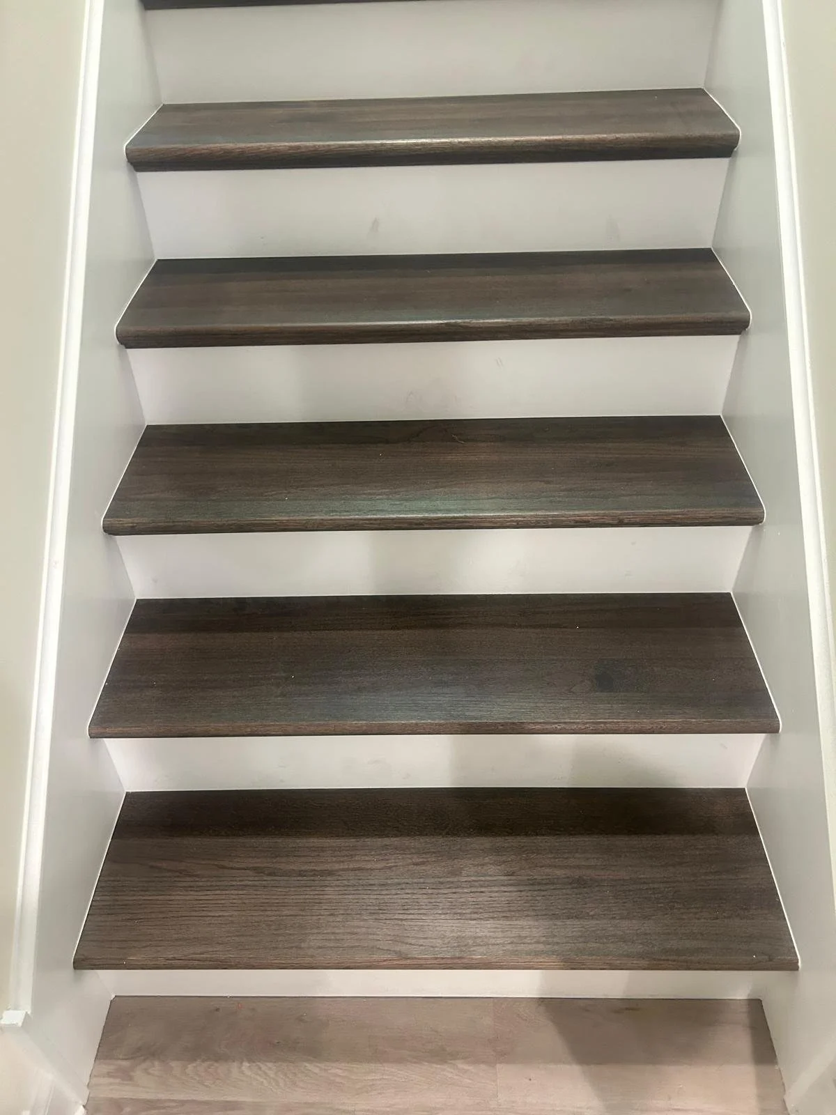 A staircase with dark wood steps and white risers.