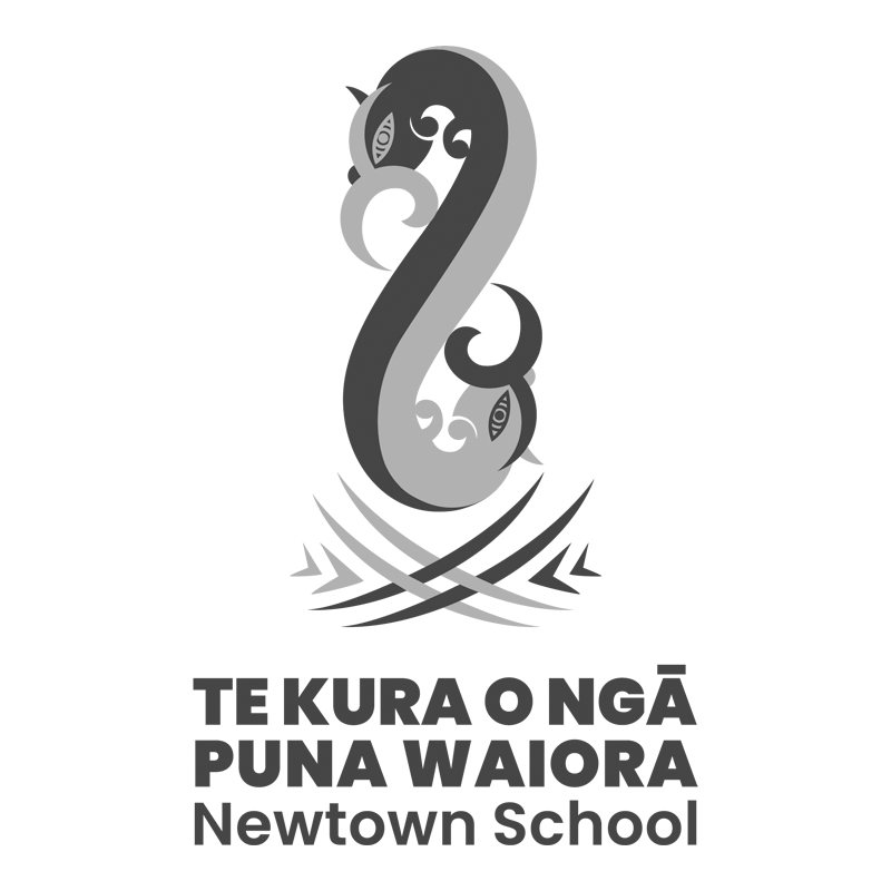 Newtown School GS.png