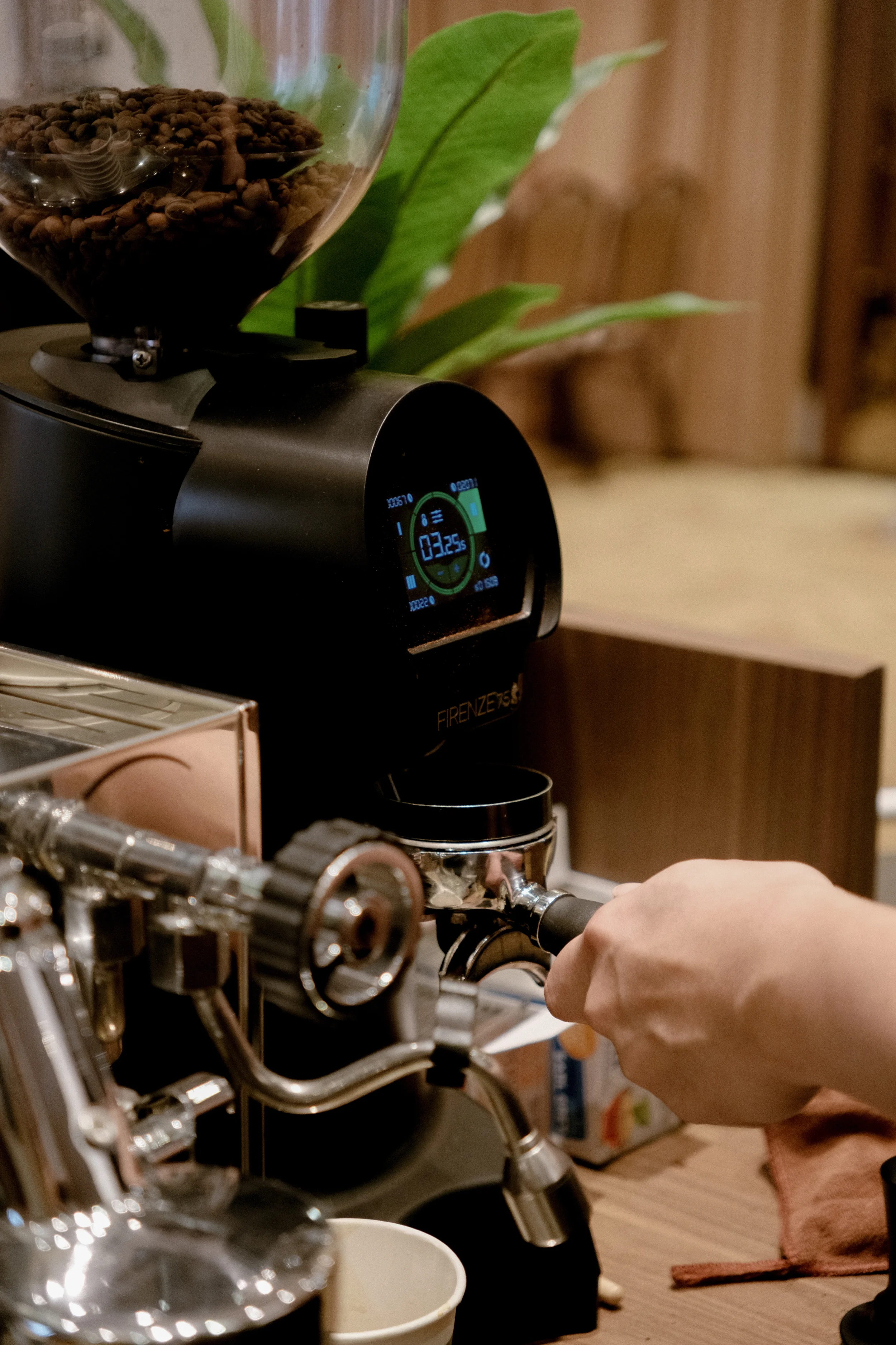 Someone using an espresso machine to brew coffee, with a coffee grinder on top filled with coffee beans and a large plant in the background.