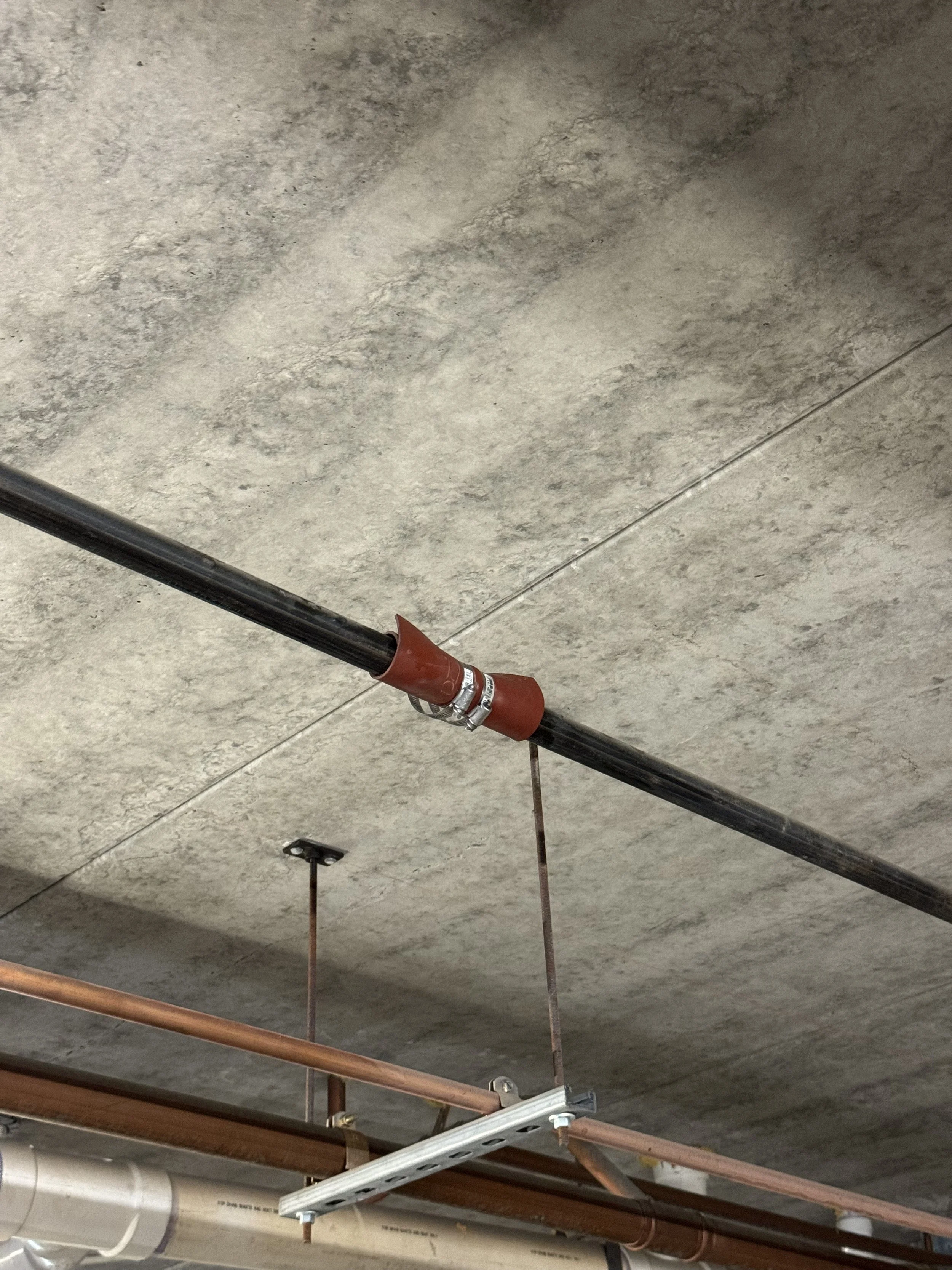 Ceiling with black pipe, metal clamp, copper pipes, and a suspended pipe support system.