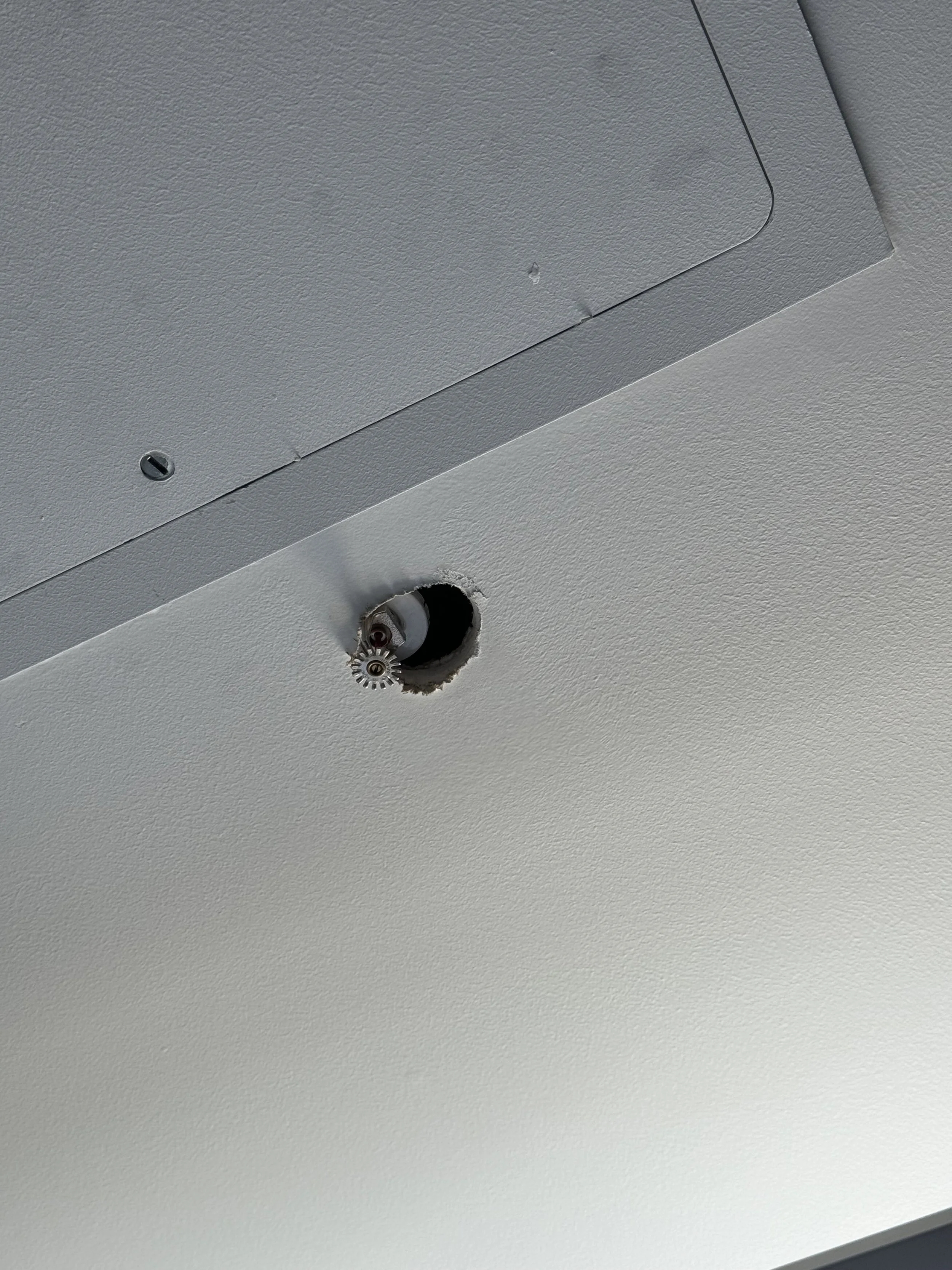 Ceiling with an exposed electrical or fire sprinkler pipe hole and a panel door.