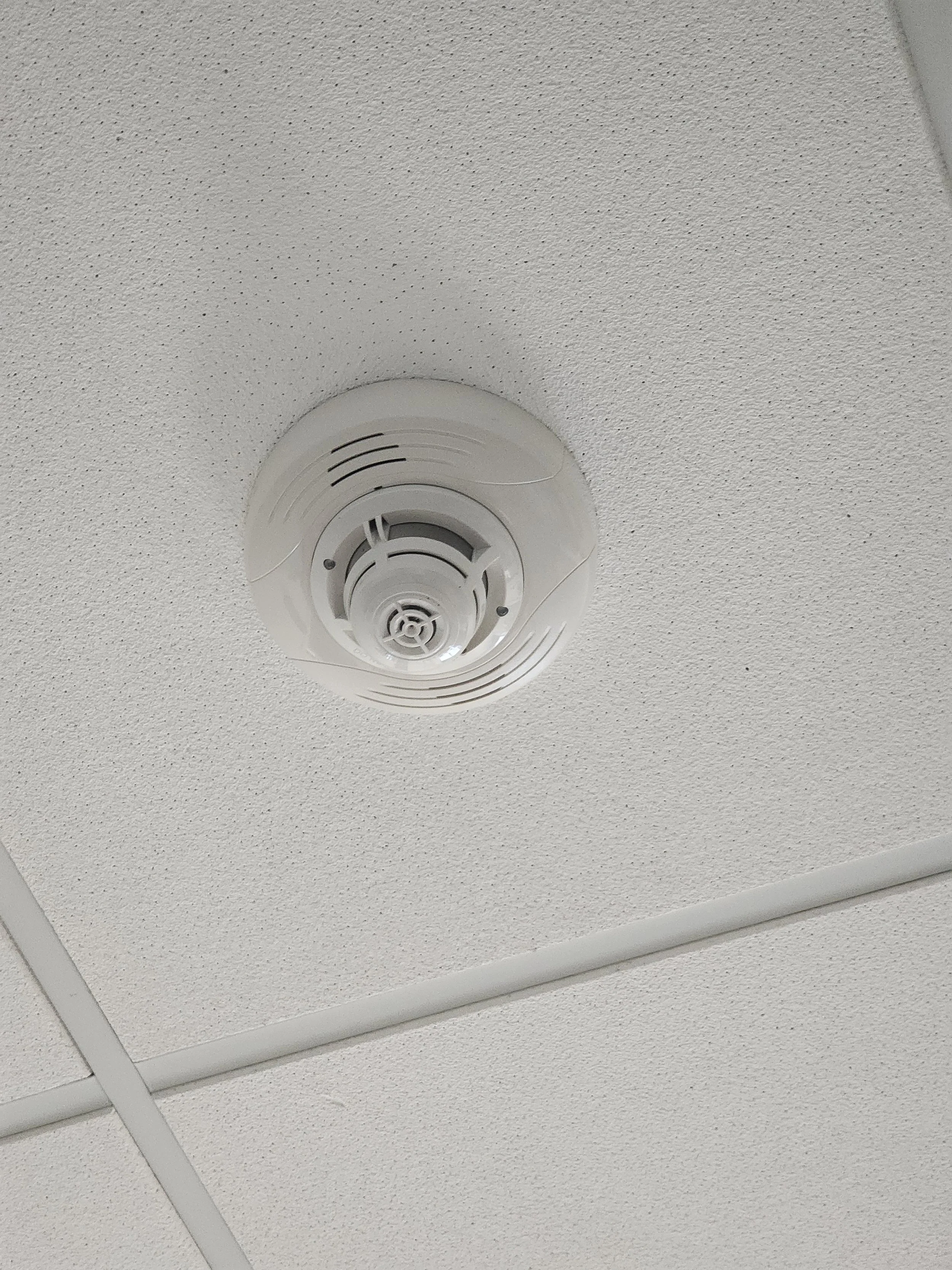 Fire alarm on a textured ceiling with grid ceiling tiles.