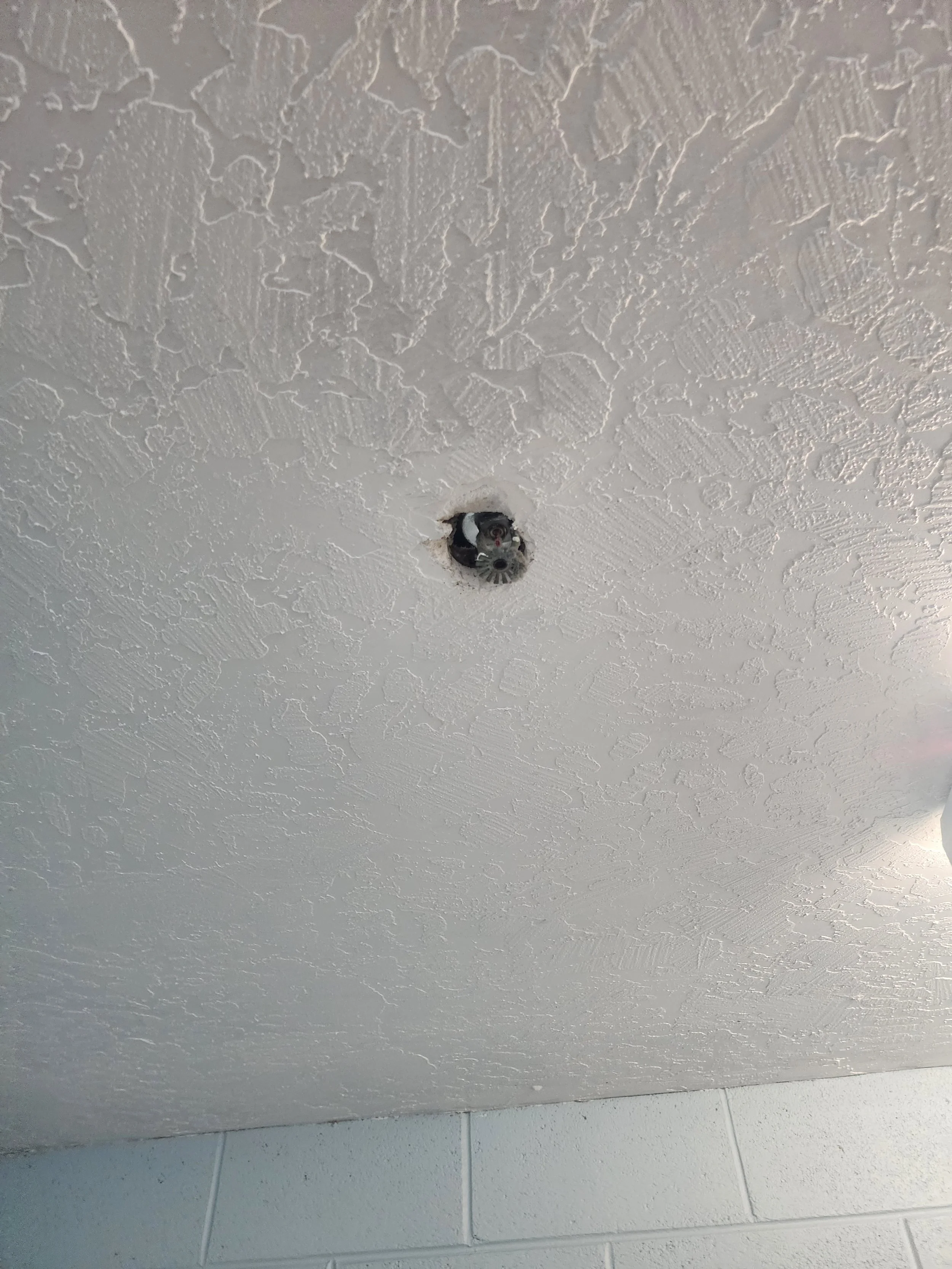 Ceiling with a hole where a light fixture is missing, showing wiring and fixture inside the hole.