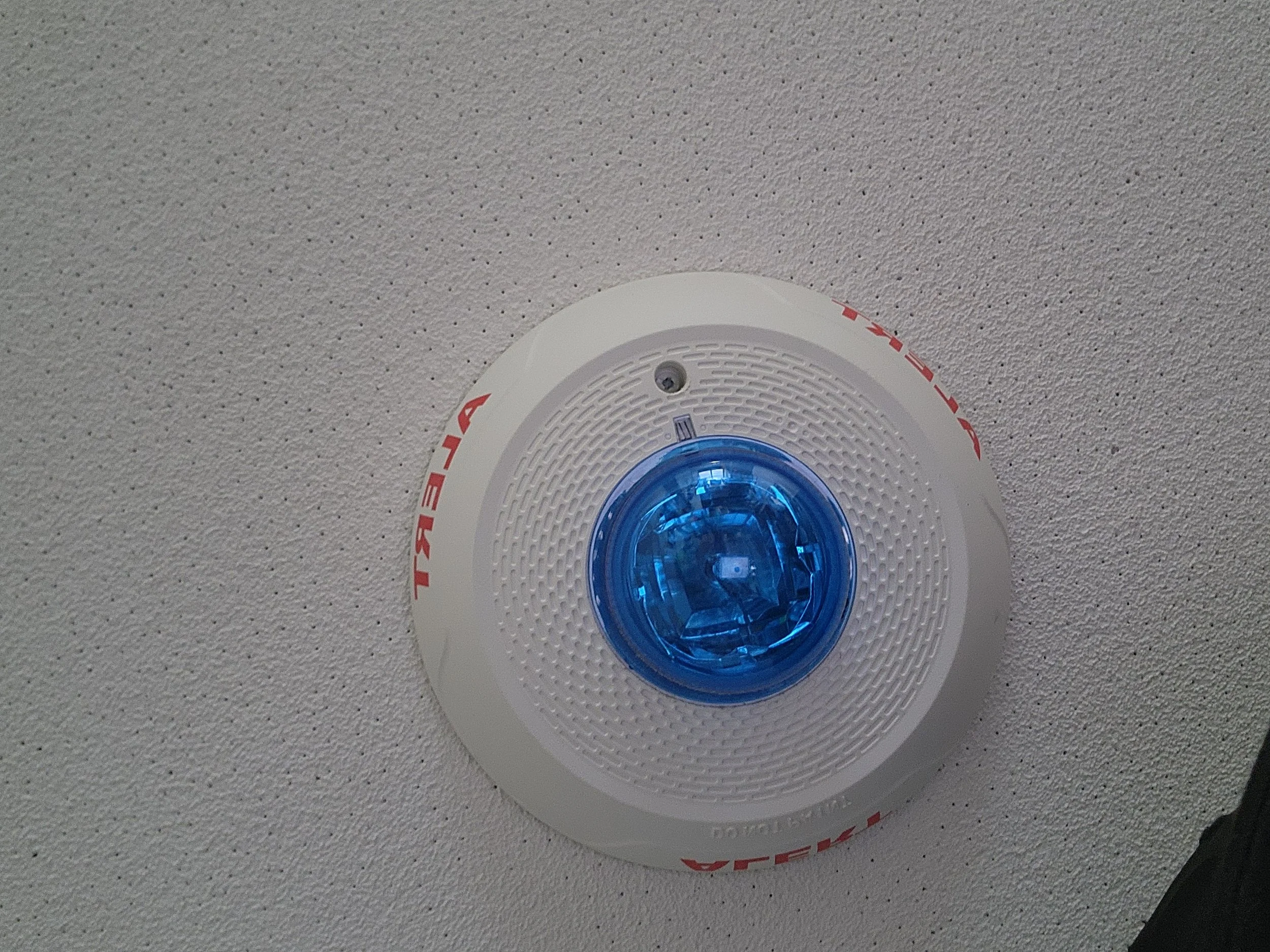 Fire alarm with blue strobe light on a textured ceiling