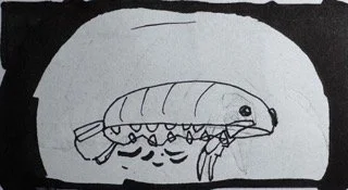 Daniela "Dani" Setka, danielasetka@gmail.com