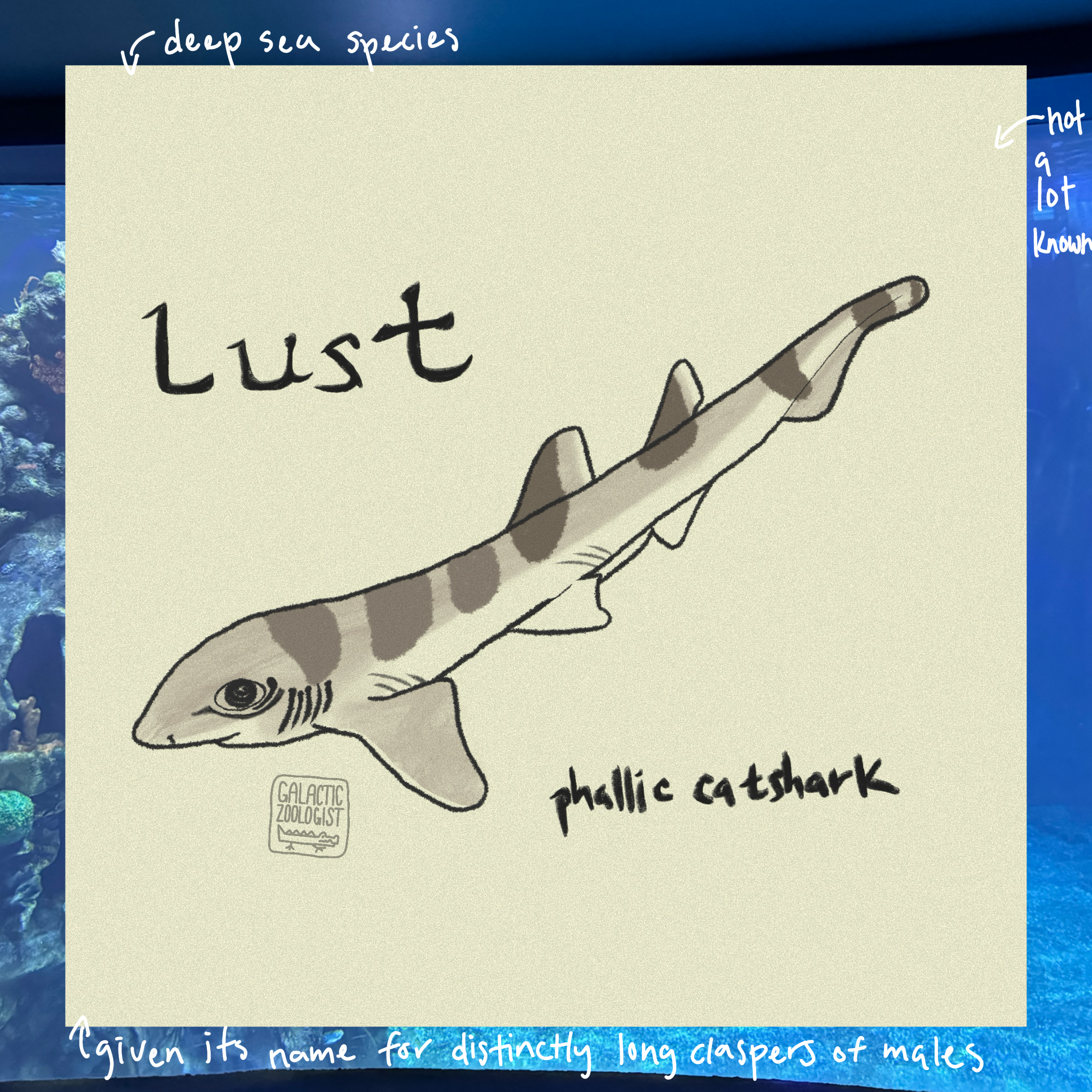 Untitled_Artwork 8.png