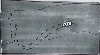 Daniela "Dani" Setka, danielasetka@gmail.com