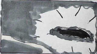 Daniela "Dani" Setka, danielasetka@gmail.com