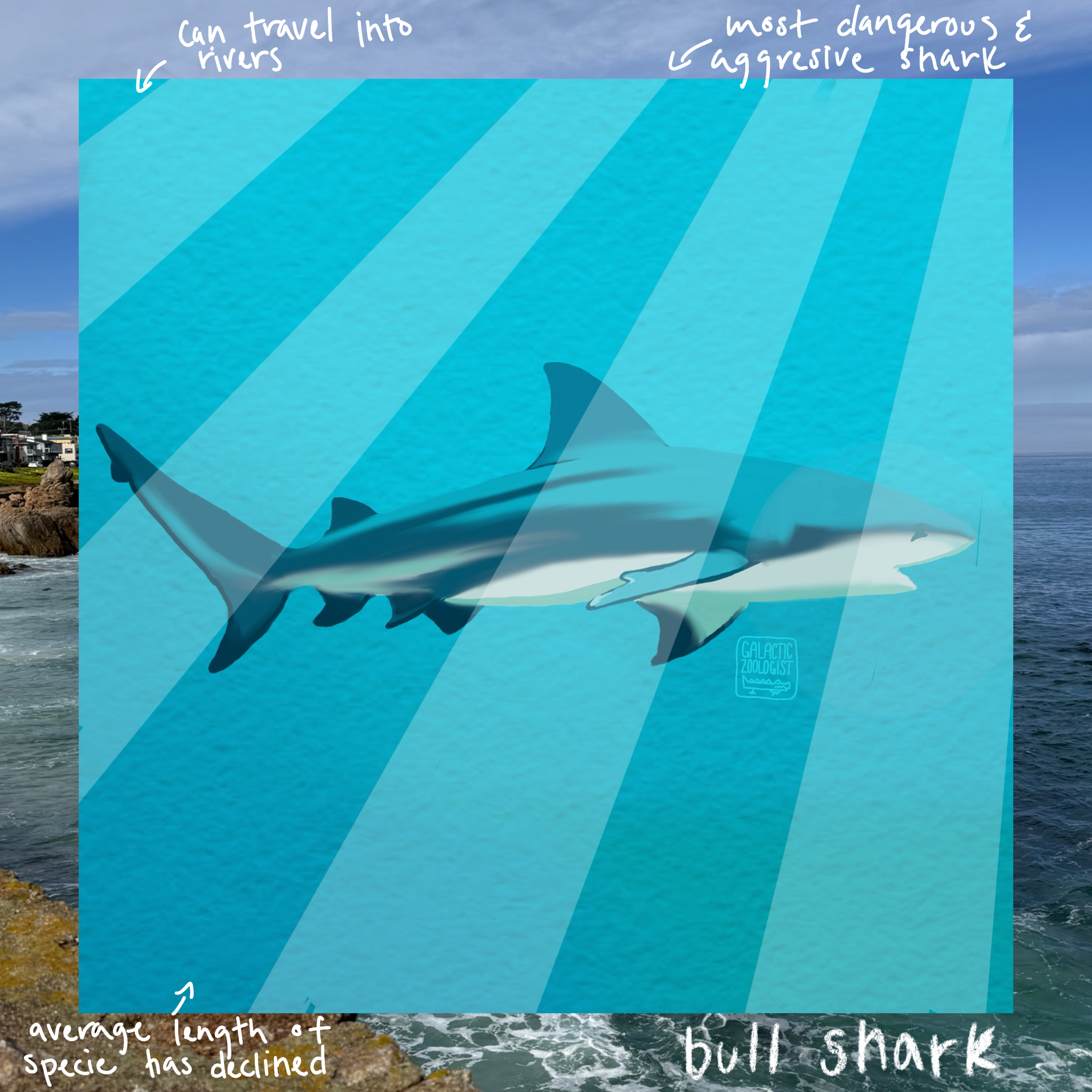 Untitled_Artwork 9.png