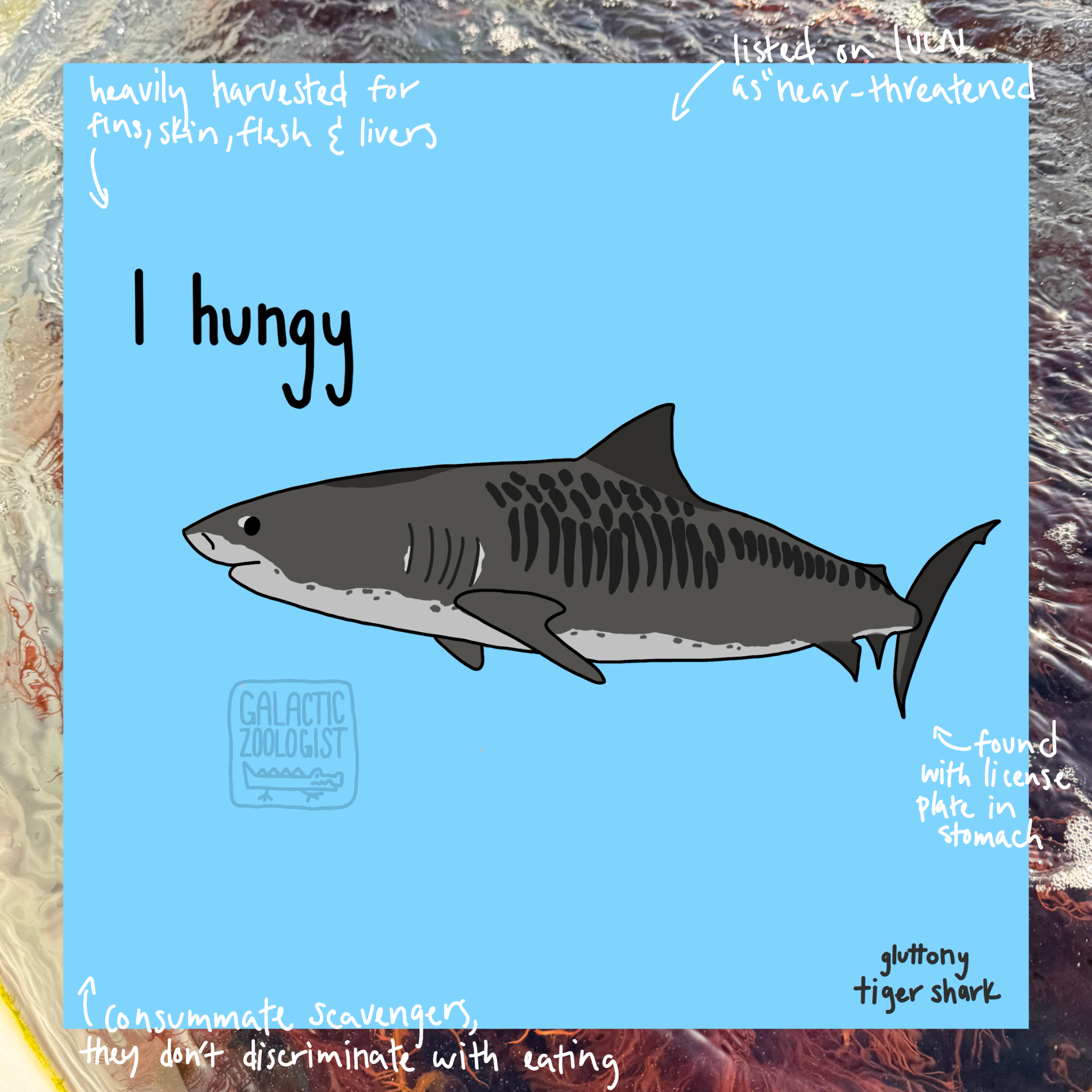 Untitled_Artwork 7.png