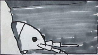 Daniela "Dani" Setka, danielasetka@gmail.com