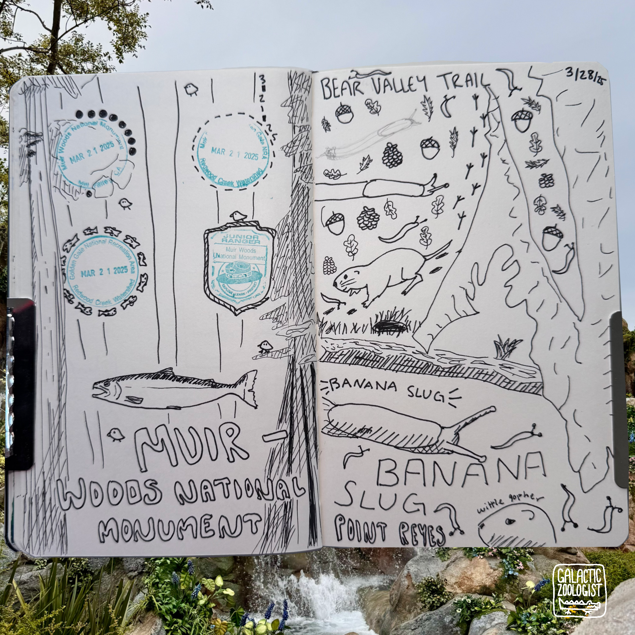 Untitled_Artwork 4.png