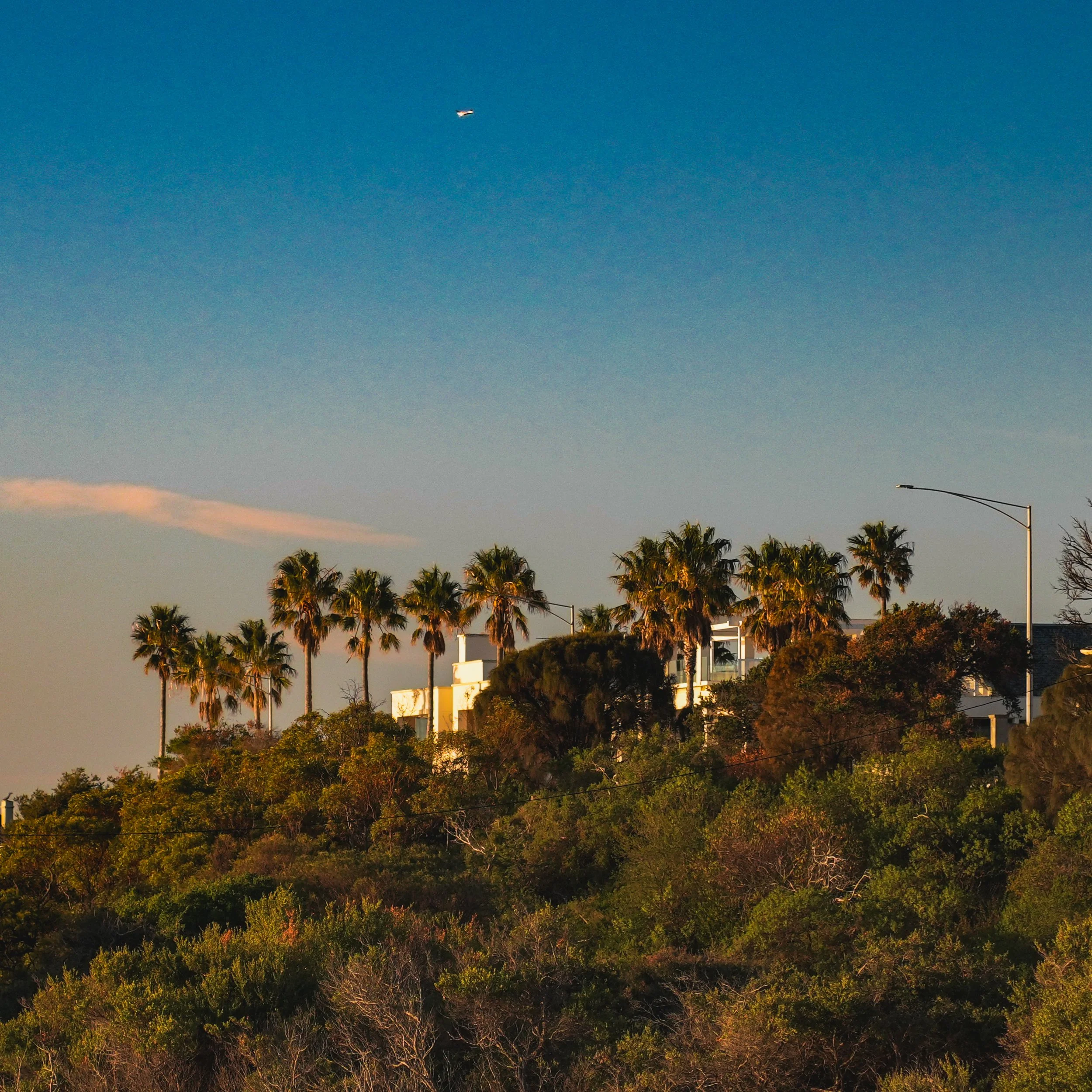 SANDRINGHAM PHOTOS-06.jpg