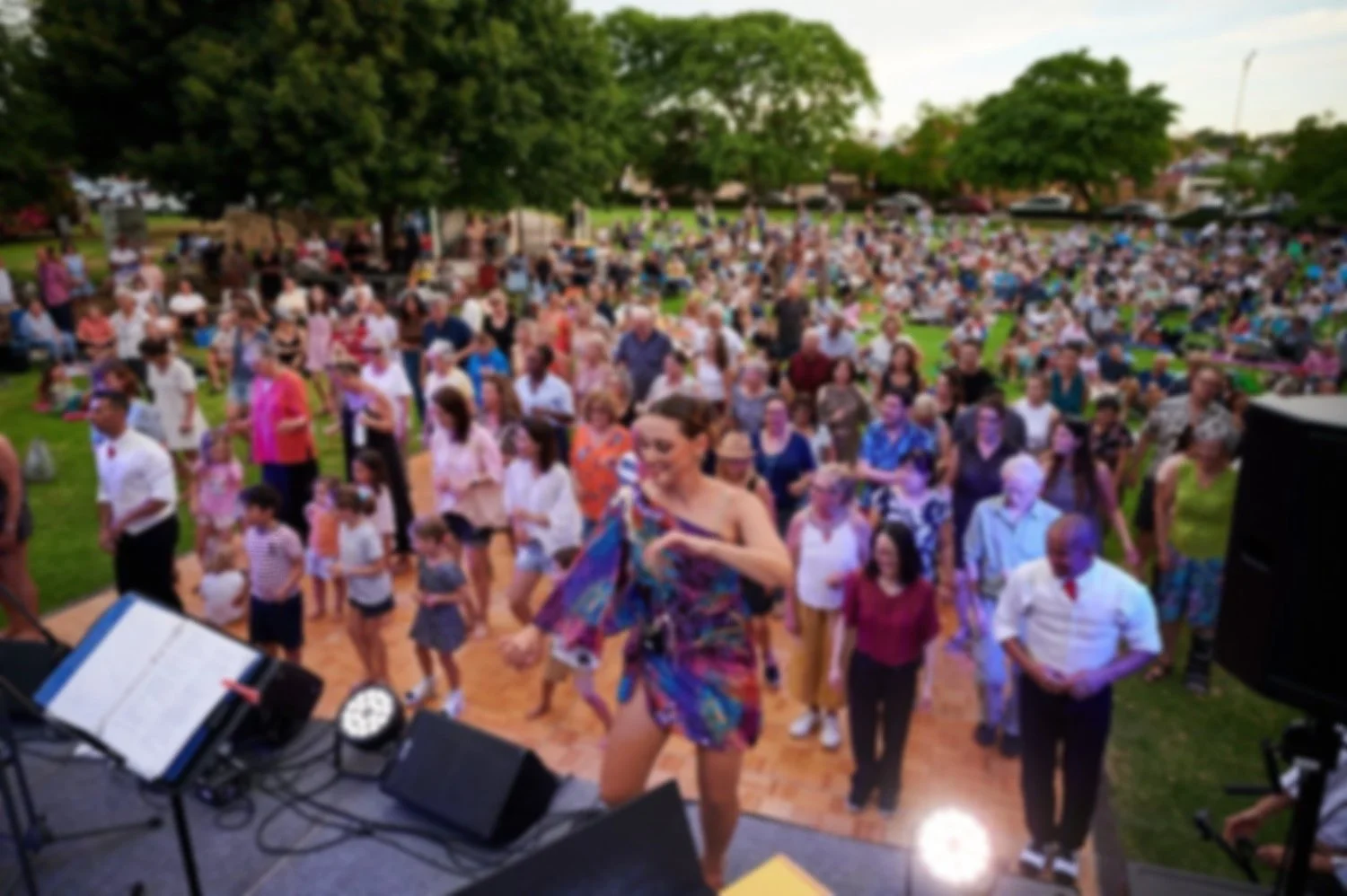 A large outdoor gathering of people attending a concert or event in a park with trees in the background. The crowd is standing and watching a woman dancing in the foreground on a small stage.
