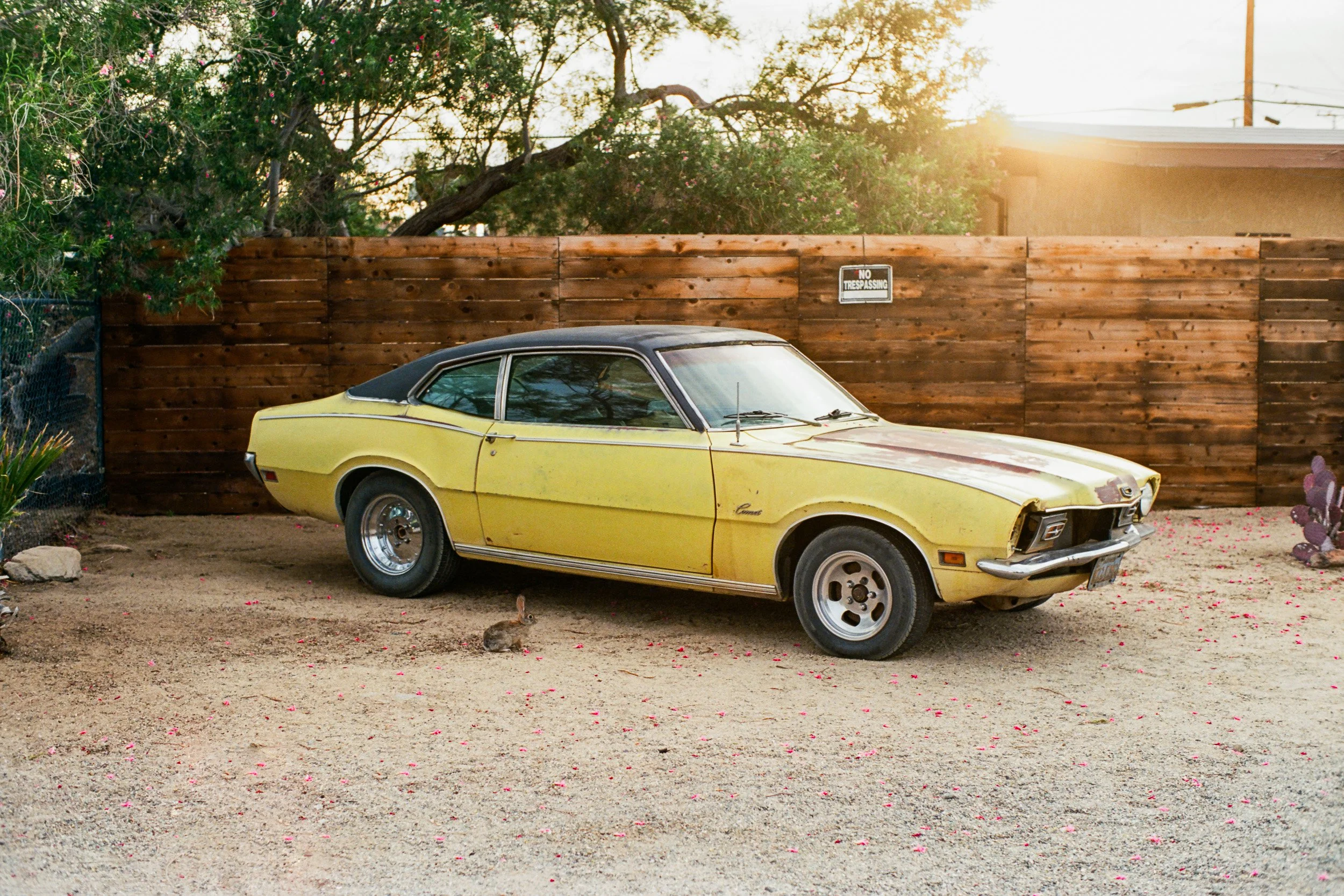 Shot on Ektar 100 near Joshua Tree National Park