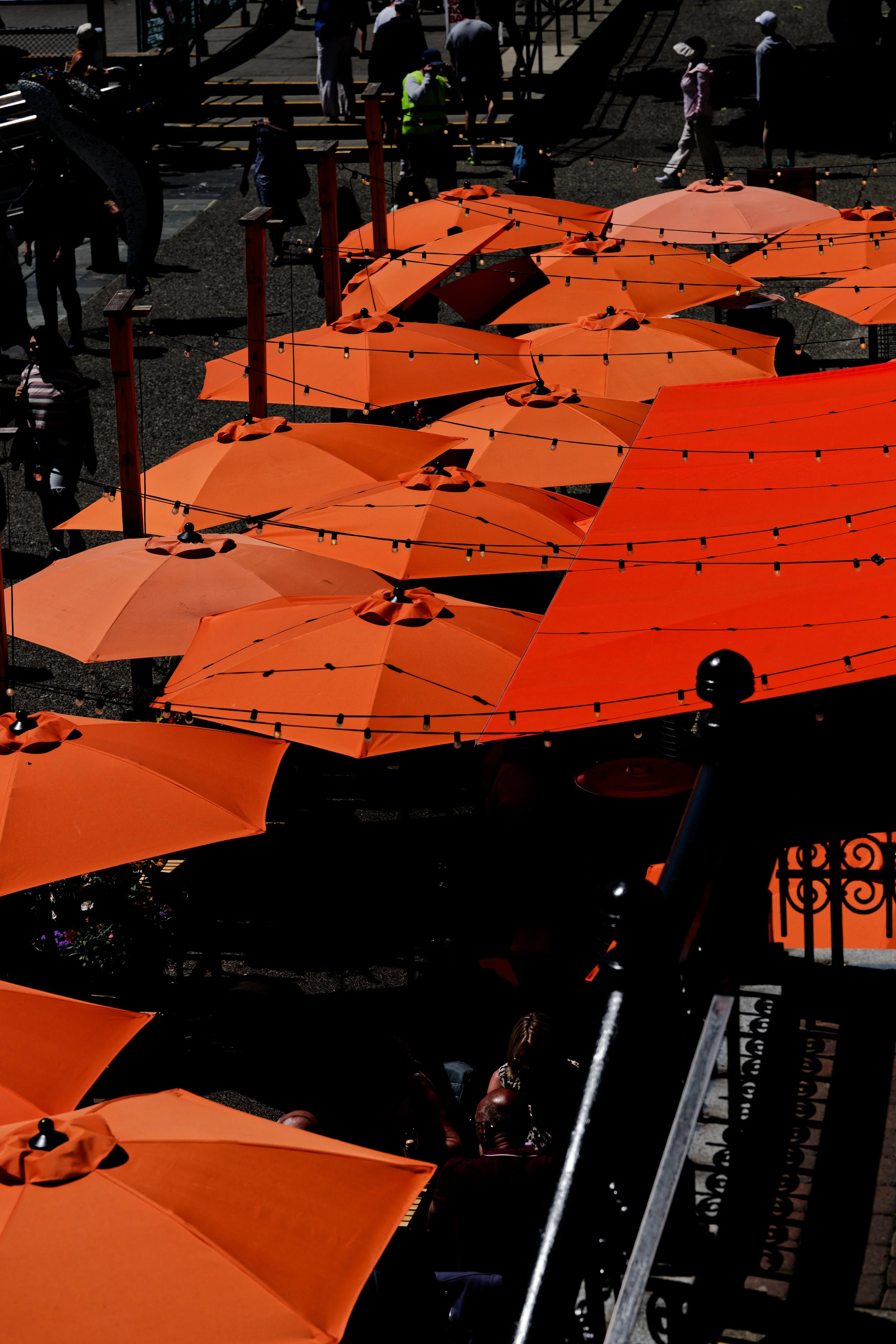 DSC01453_1_DxO.jpg