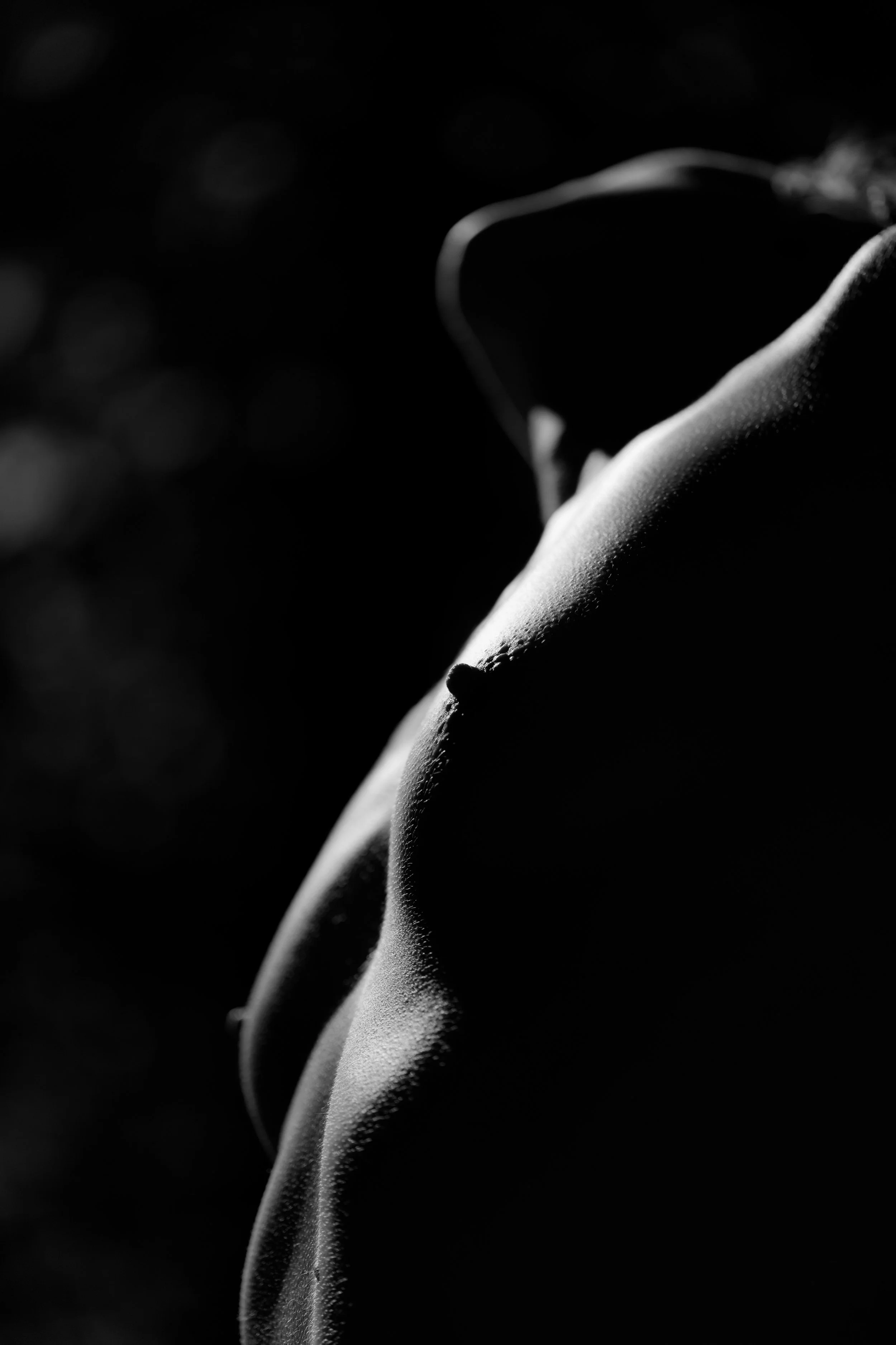 DSC02451_DxO.jpg