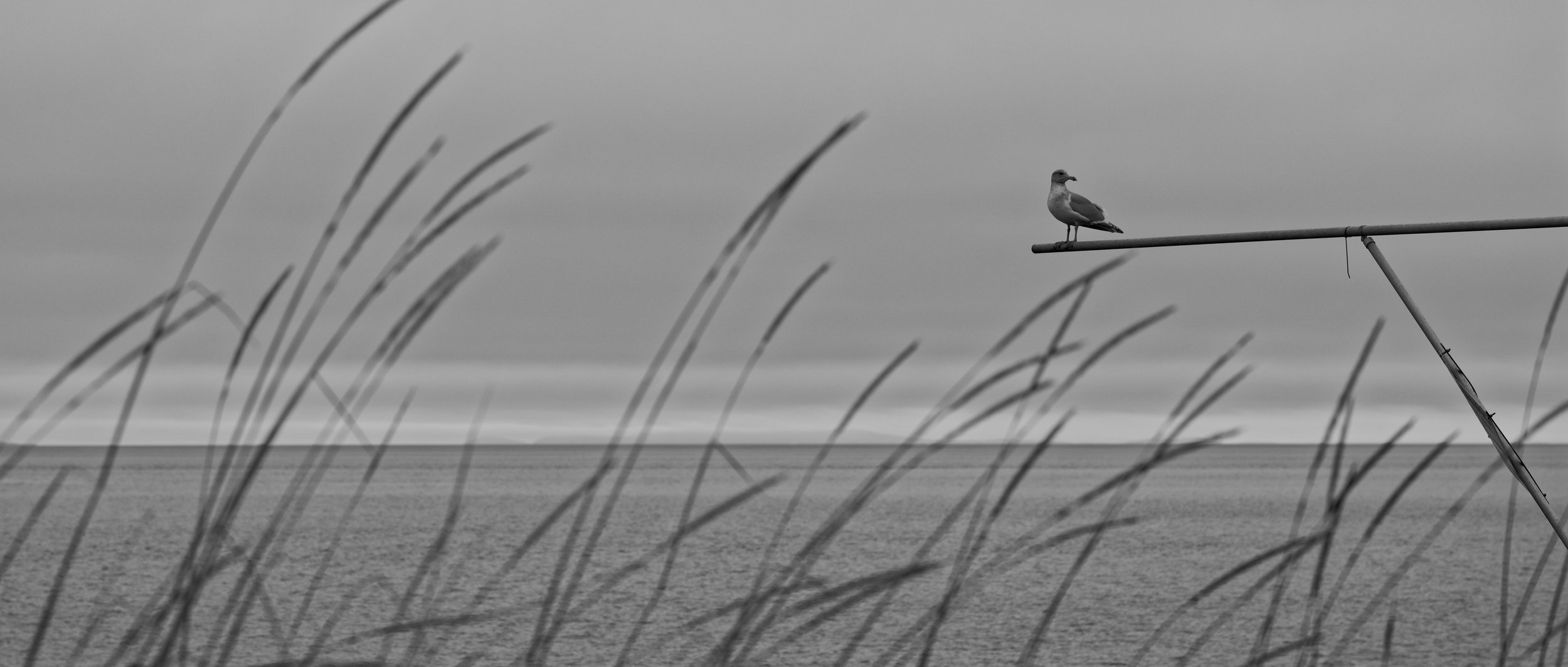 DSC04888_DxO.jpg