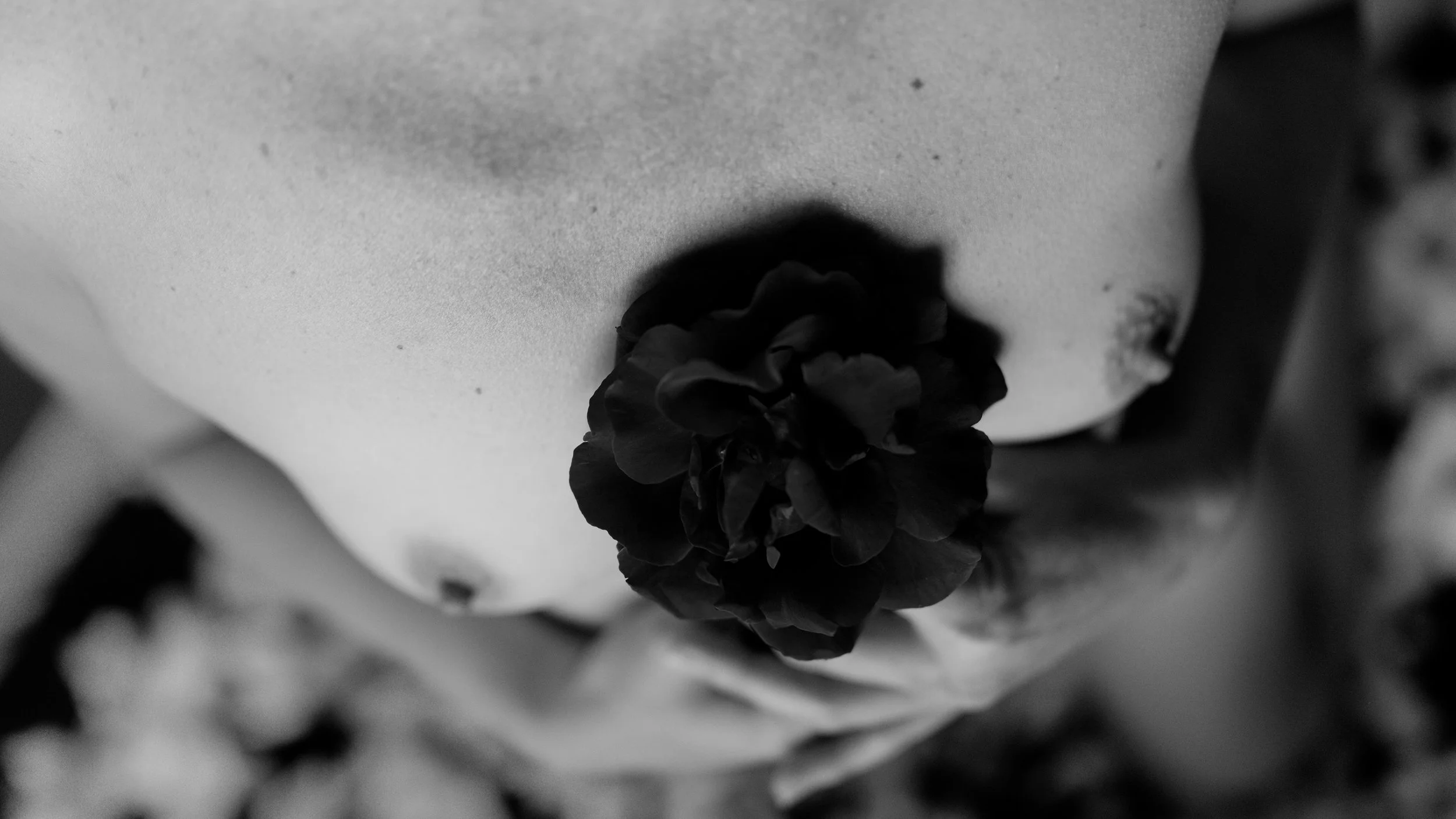DSC01720_DxO.jpg
