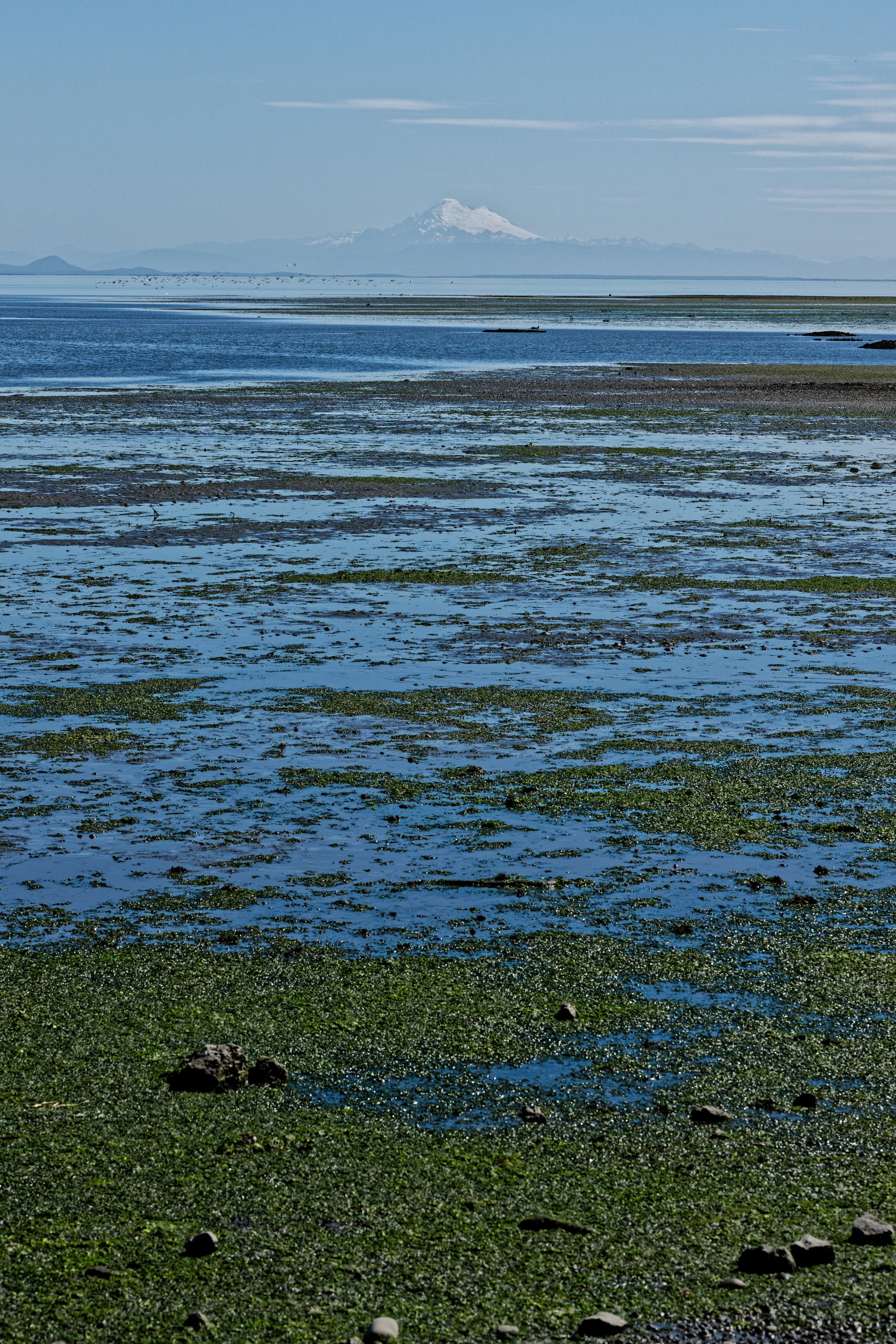 DSC01243_1_DxO.jpg