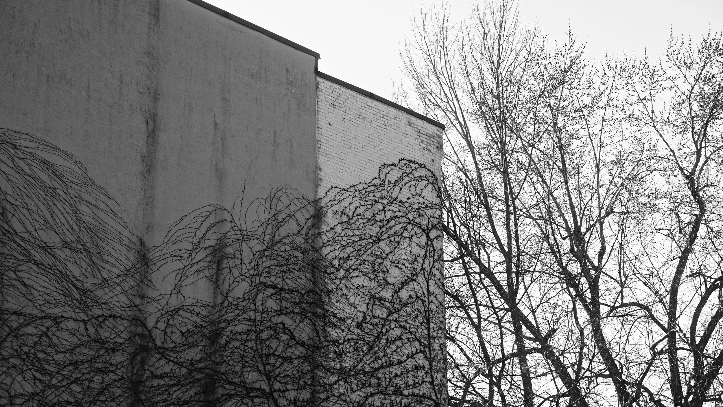DSC06872_1_DxO.jpg
