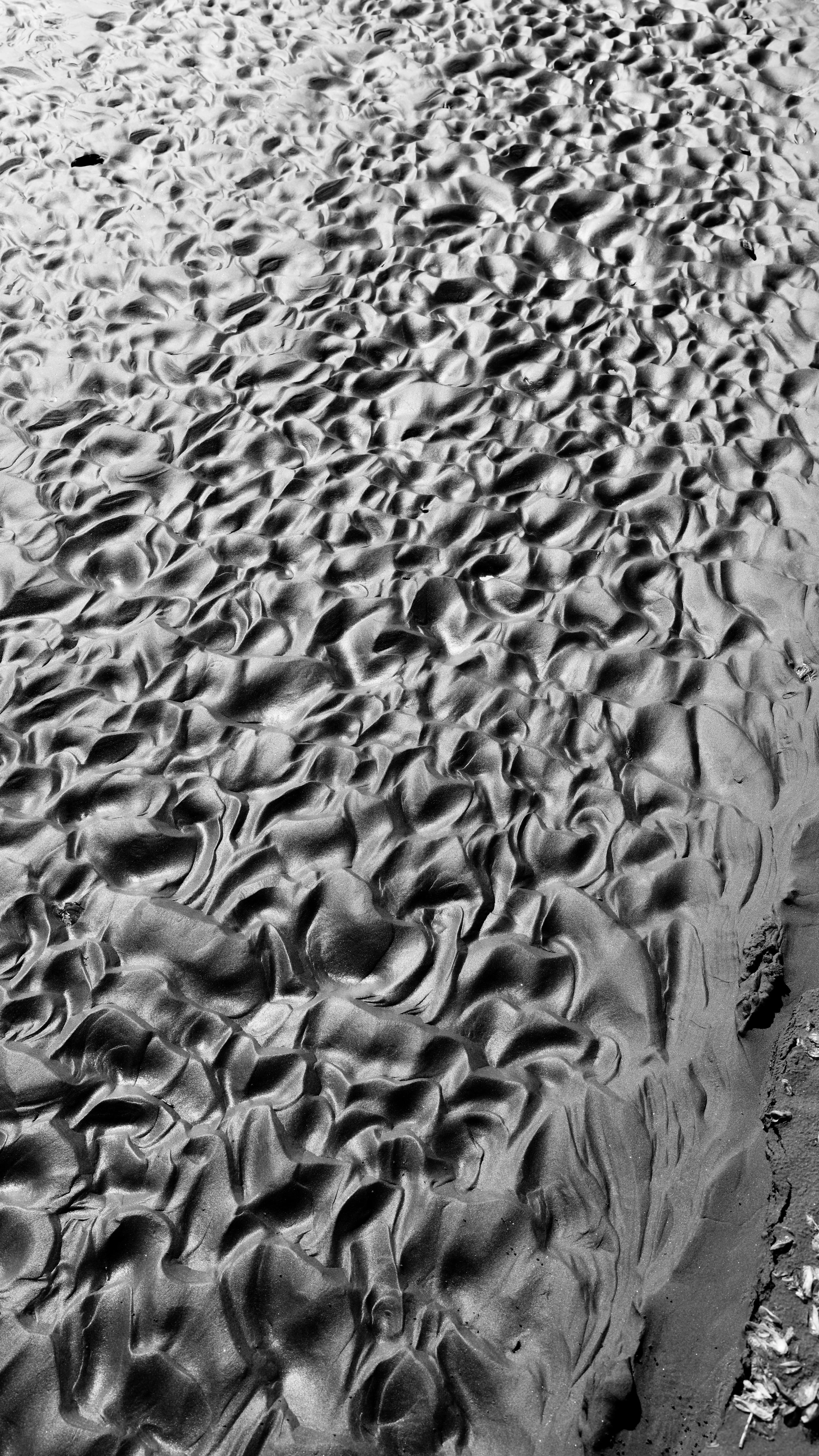 DSC07732_1_DxO.jpg