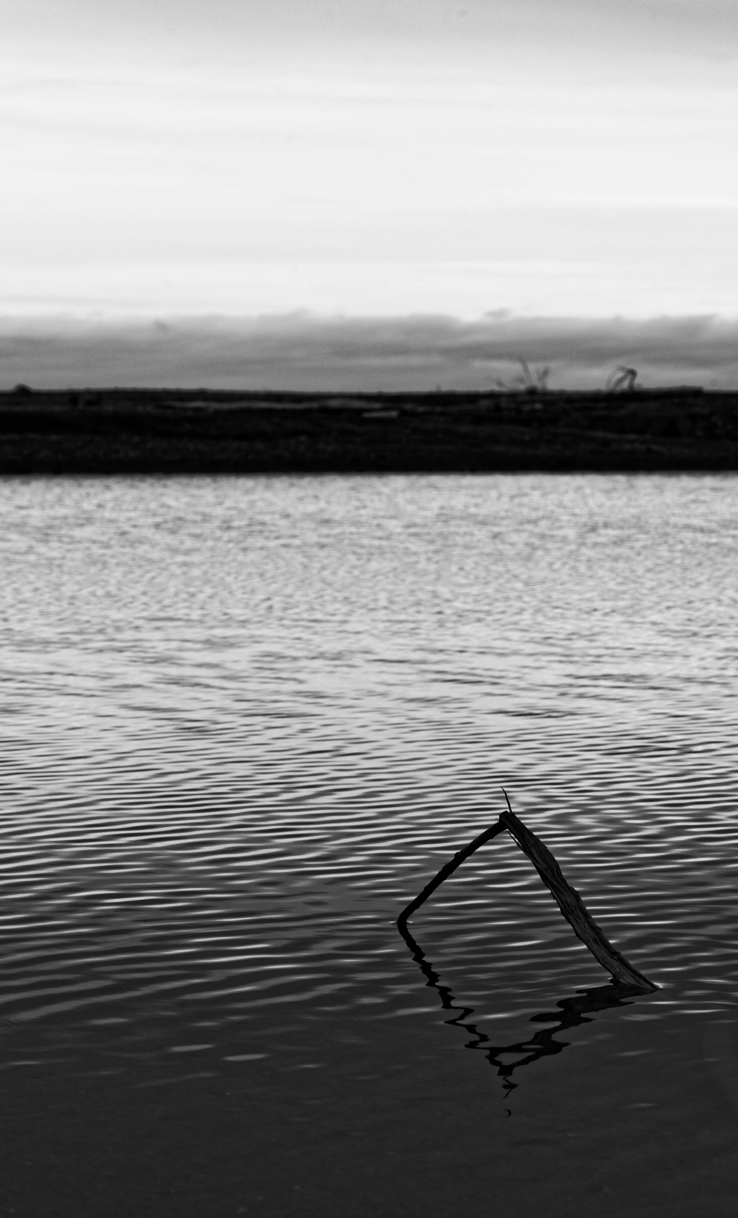 DSC05480_1_DxO.jpg