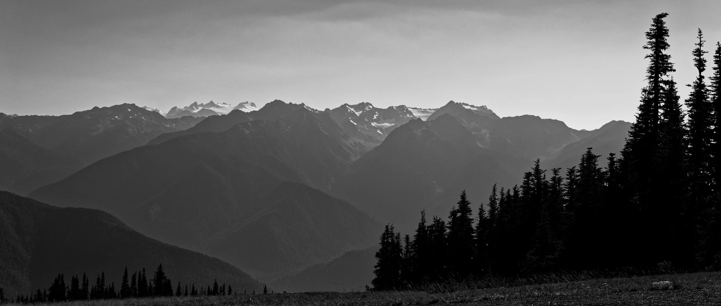 DSC03540_DxO.jpg
