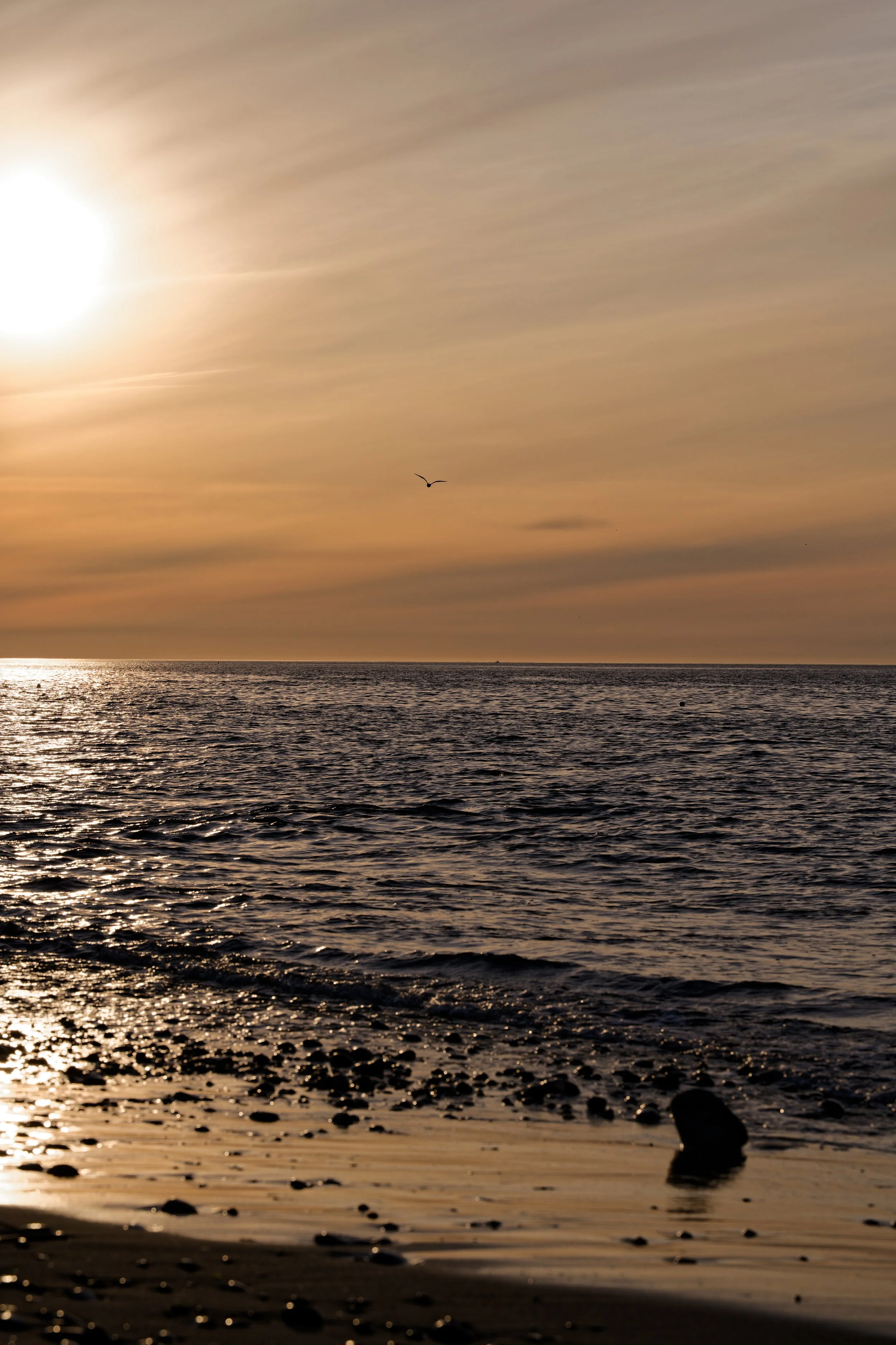 DSC08940_DxO-1.jpeg