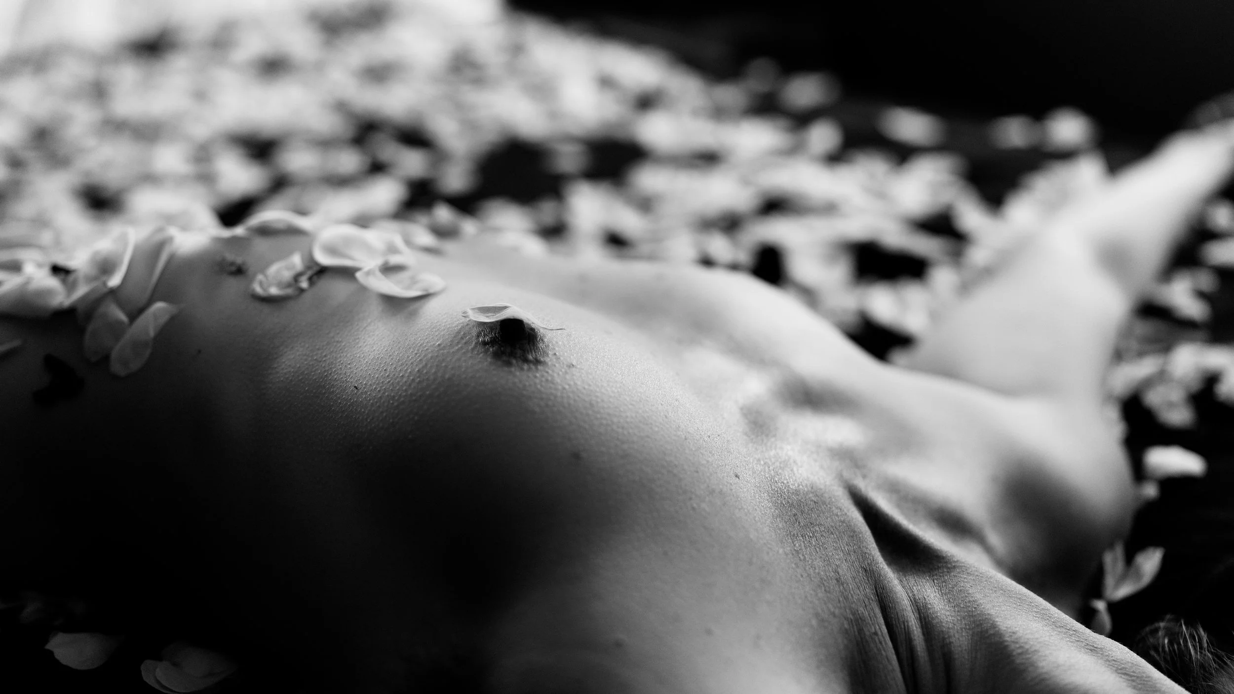 DSC01908_DxO.jpg