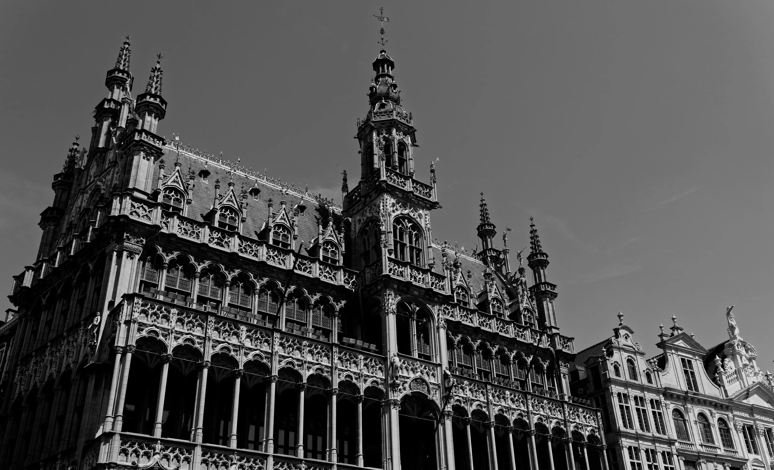DSC03308_DxO.jpeg