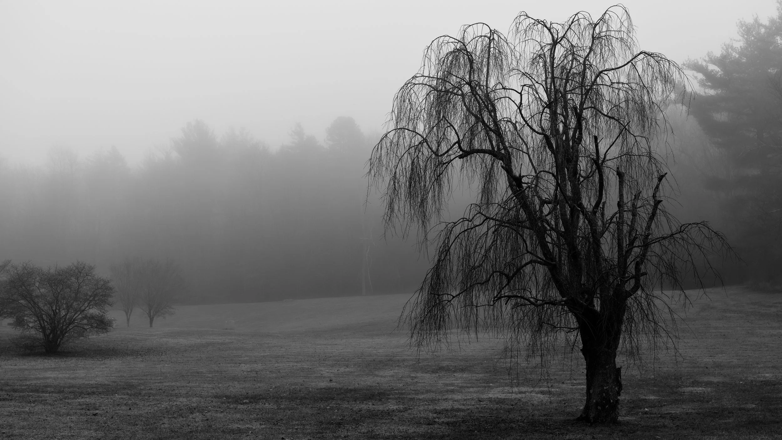 DSC06491_M_DxO.jpeg
