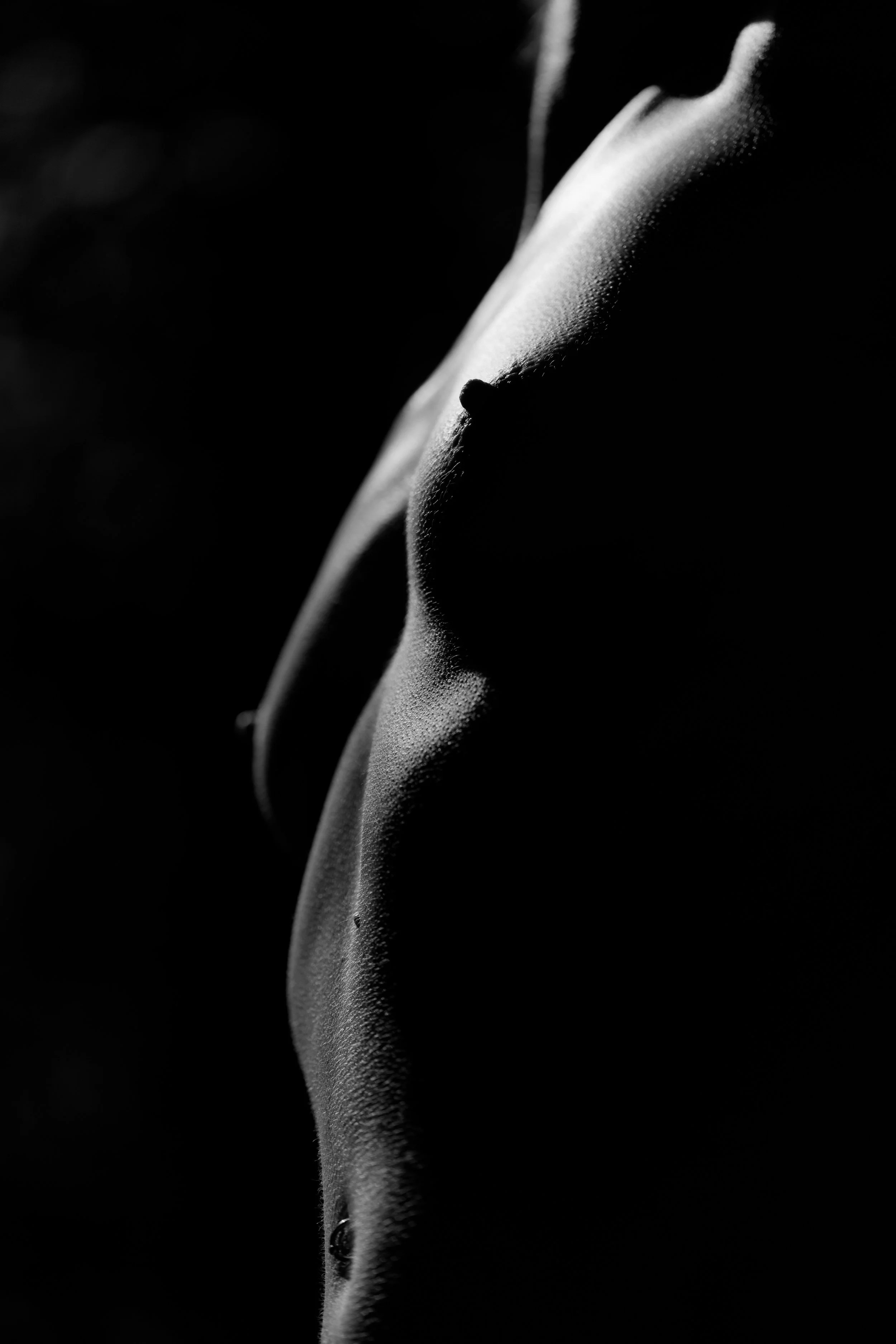 DSC02446_DxO.jpg