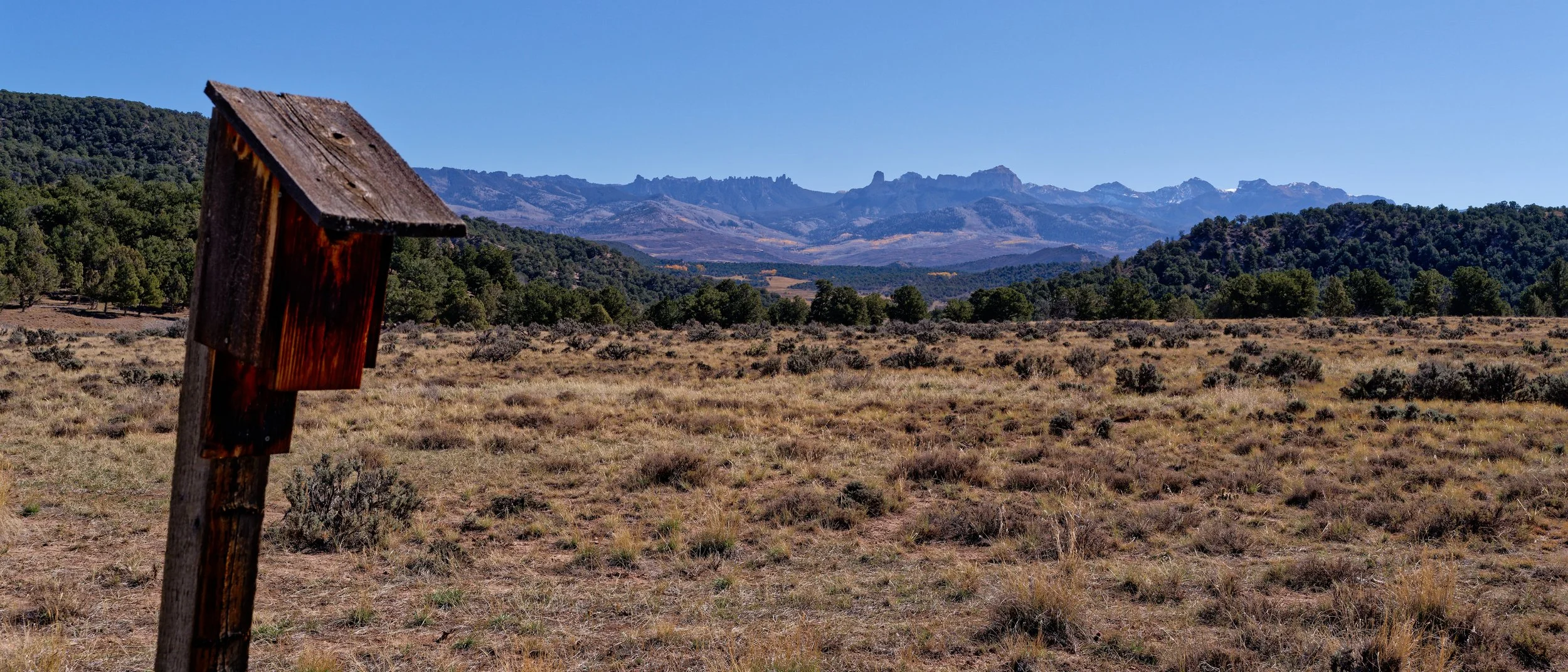 A dry, grassy field with sparse bushes and trees, rolling hills, and mountain peaks in the background under a clear blue sky.