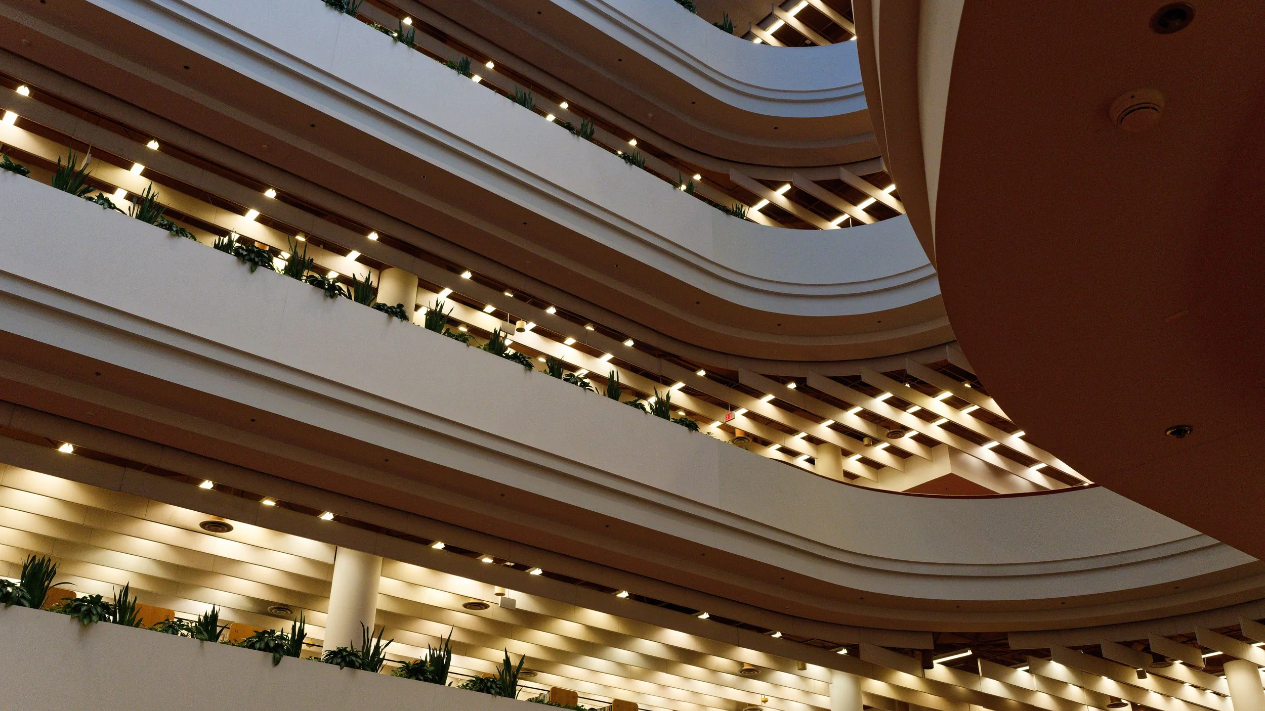 DSC08111_DxO.jpeg