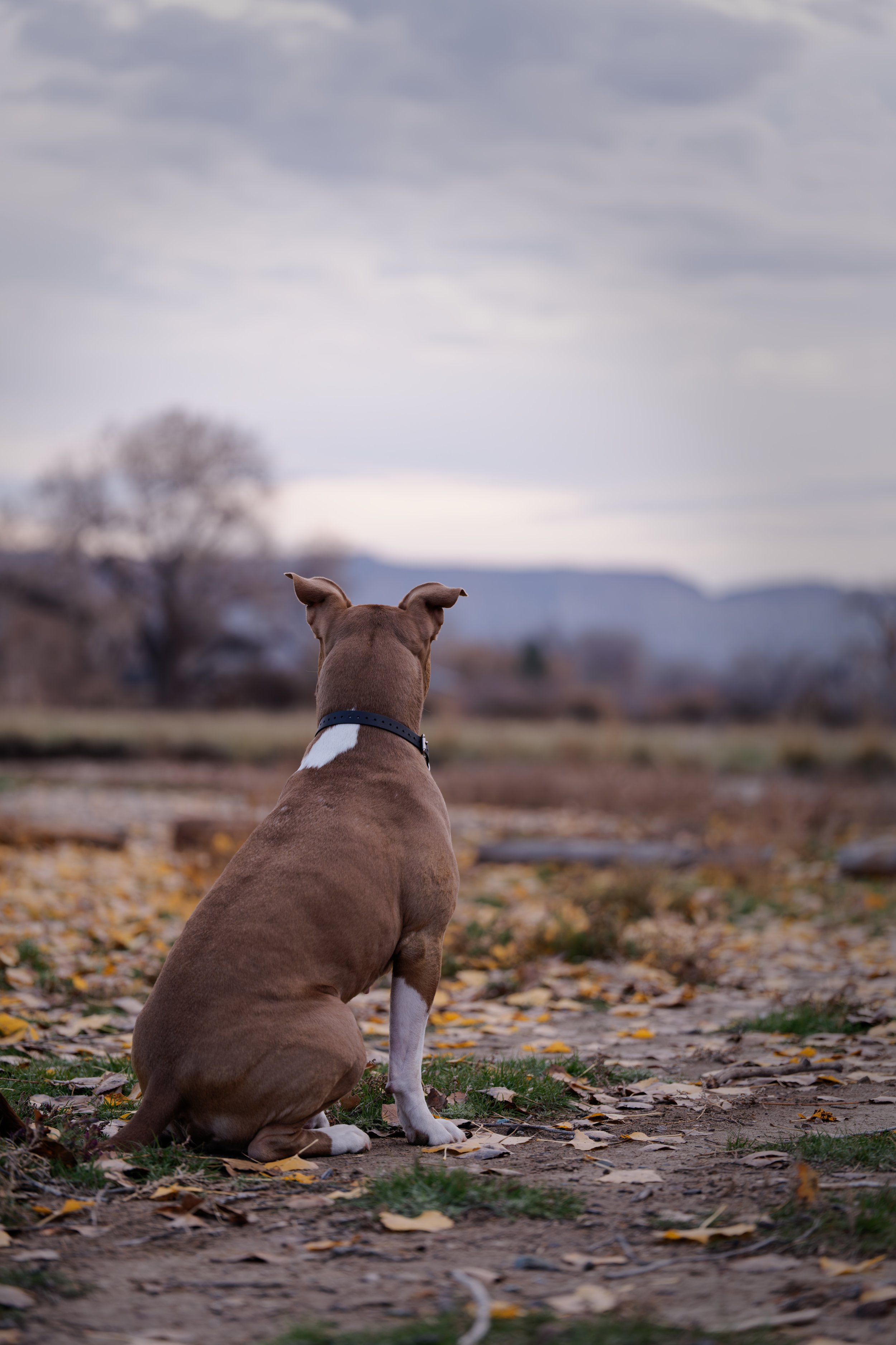 DSC04108_DxO.jpeg